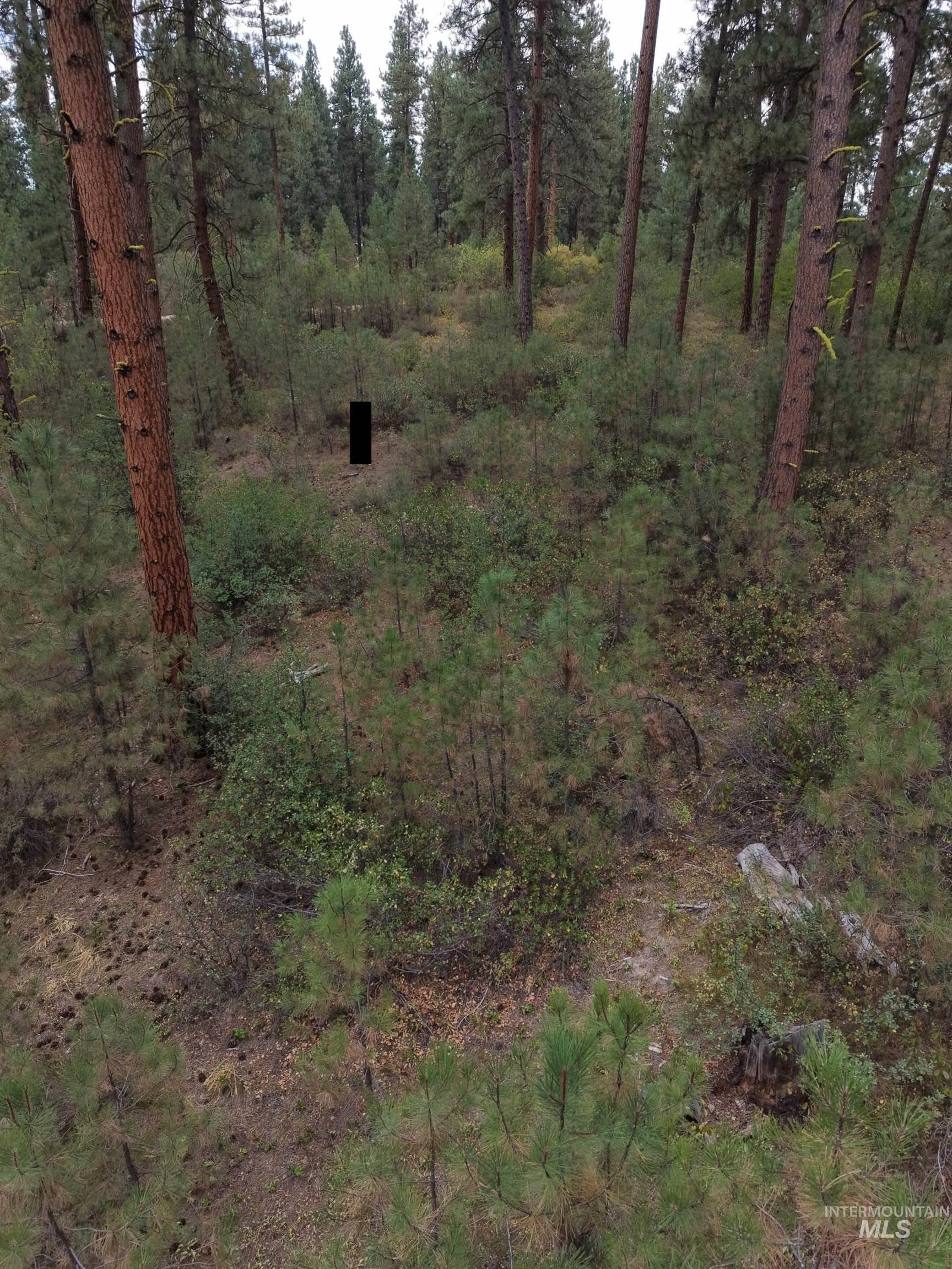 0 Lot 18 Block 16 Of Duquette Pines Division Property Photo 11