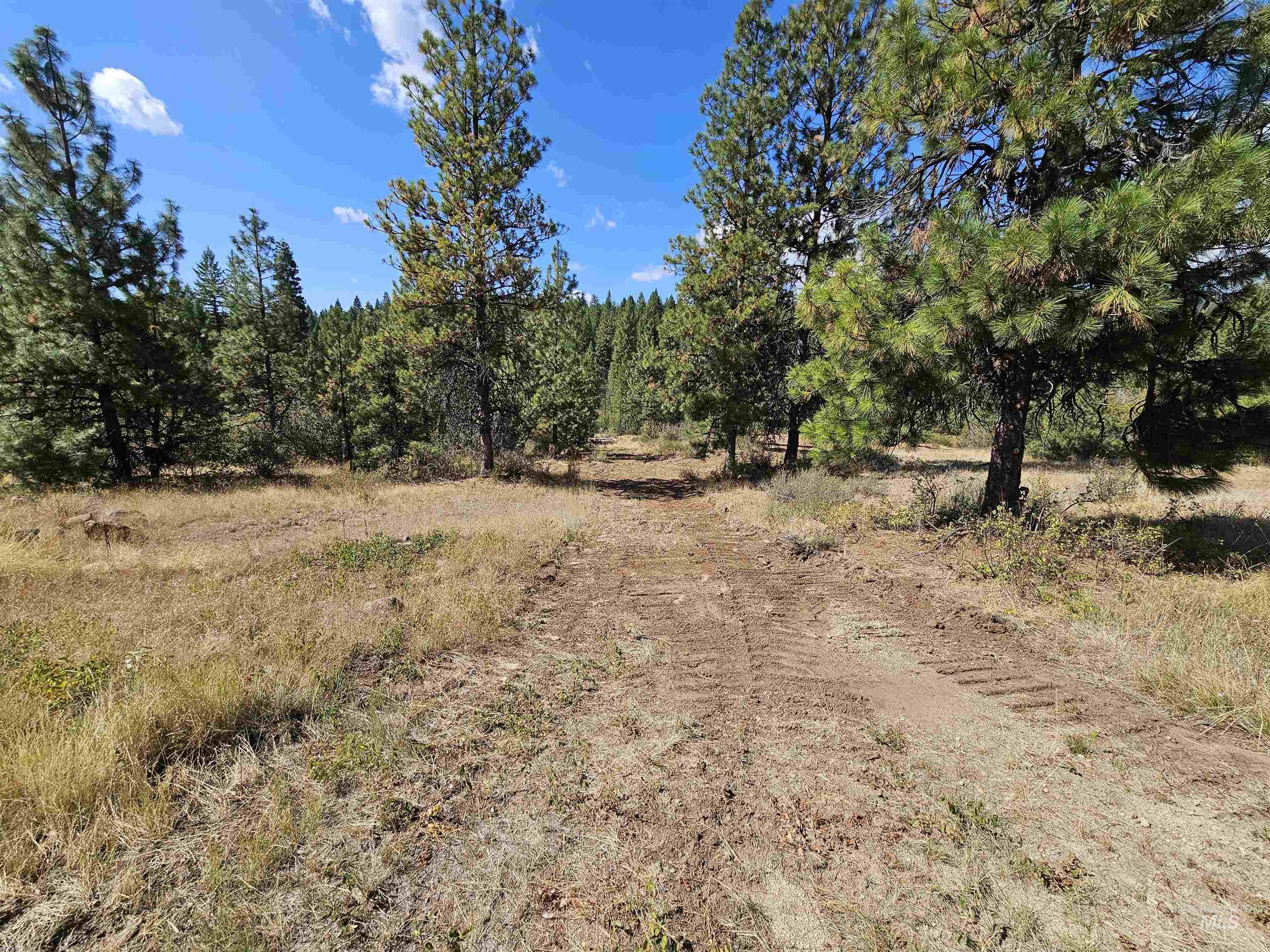 Lot 20 Crow Court Property Photo 31