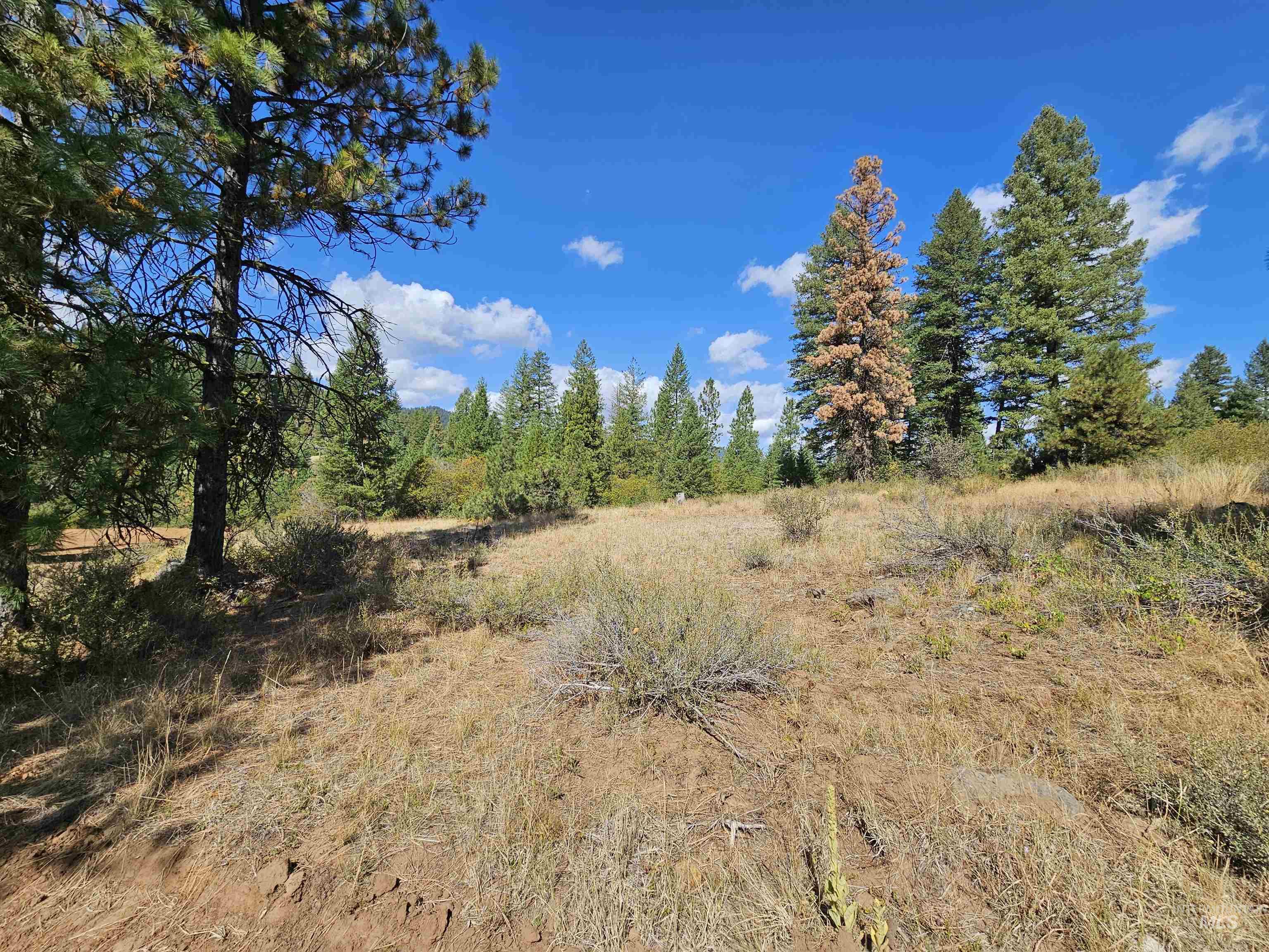 Lot 20 Crow Court Property Photo 32