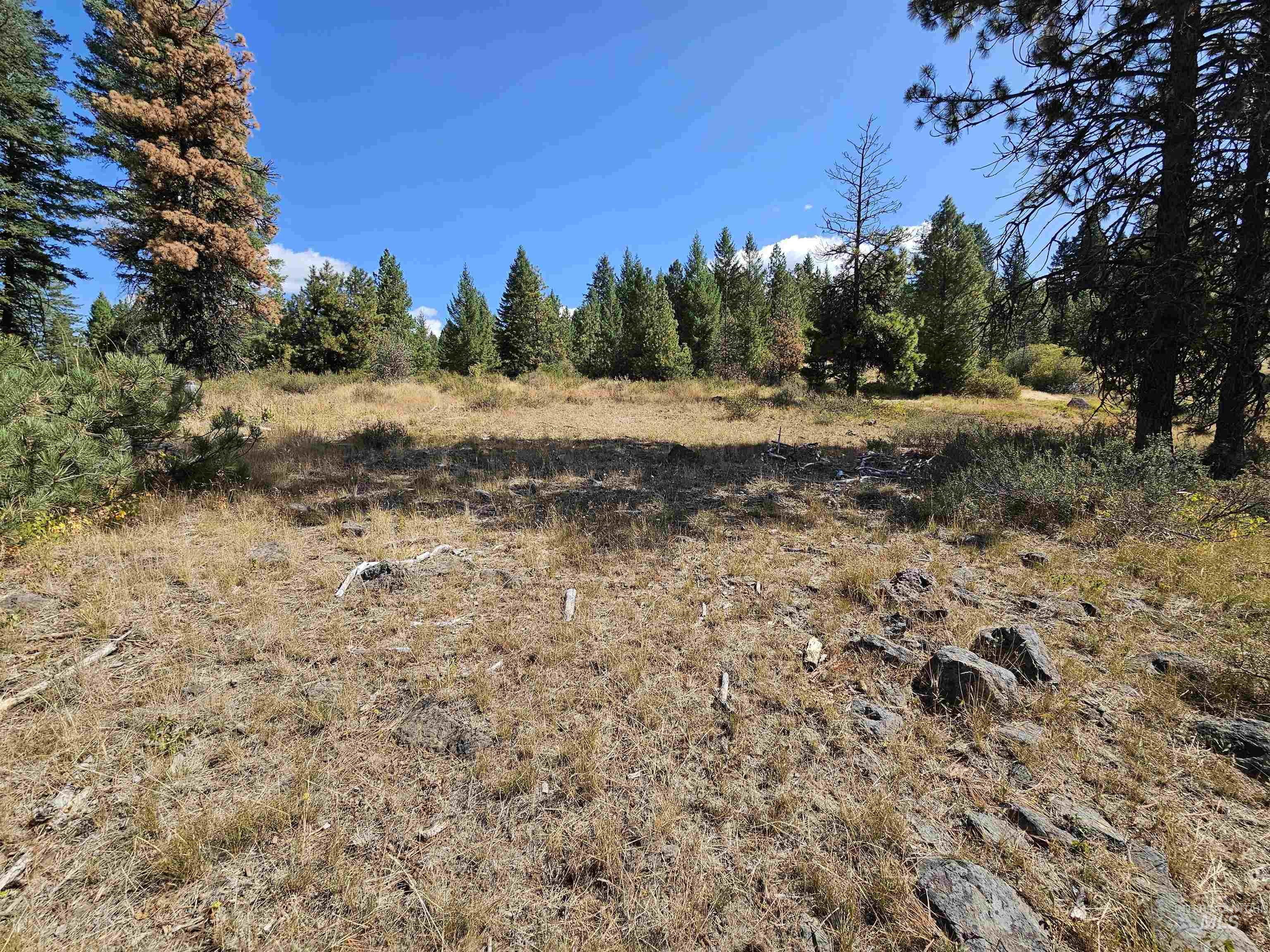 Lot 20 Crow Court Property Photo 39
