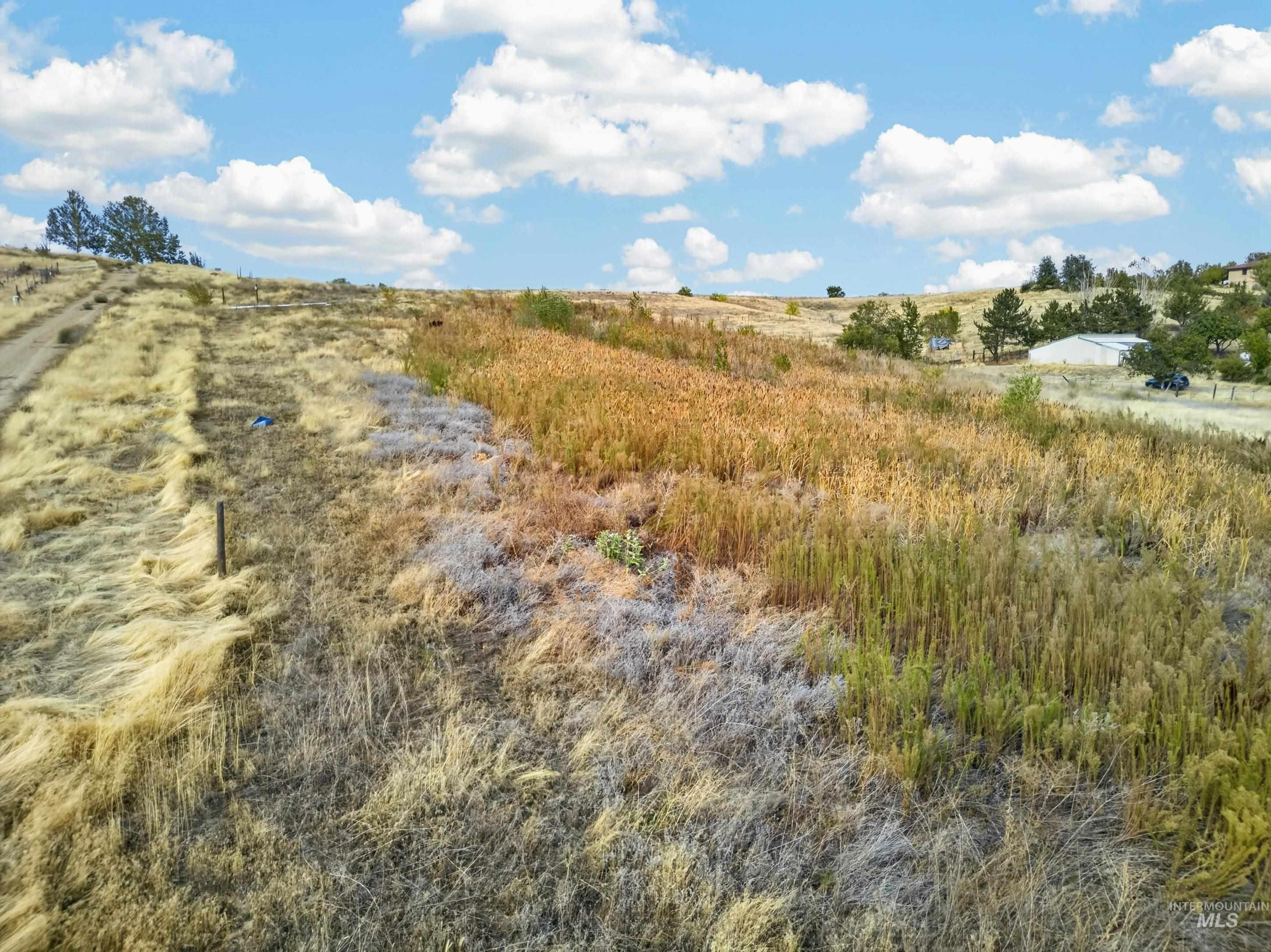 4.29 Ac Foothill Rd Property Photo 11