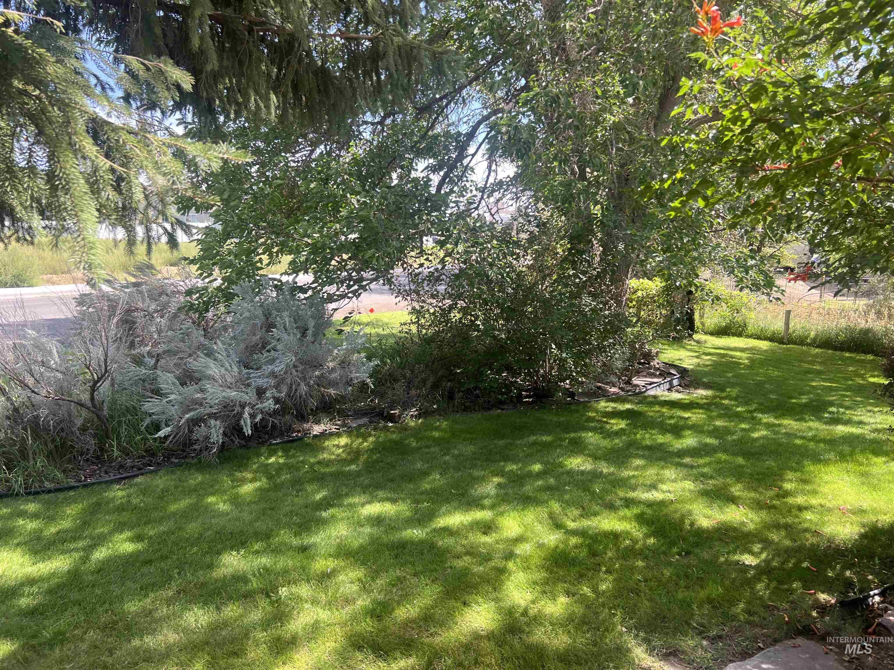 919 & 921 S. Fir Property Photo 17