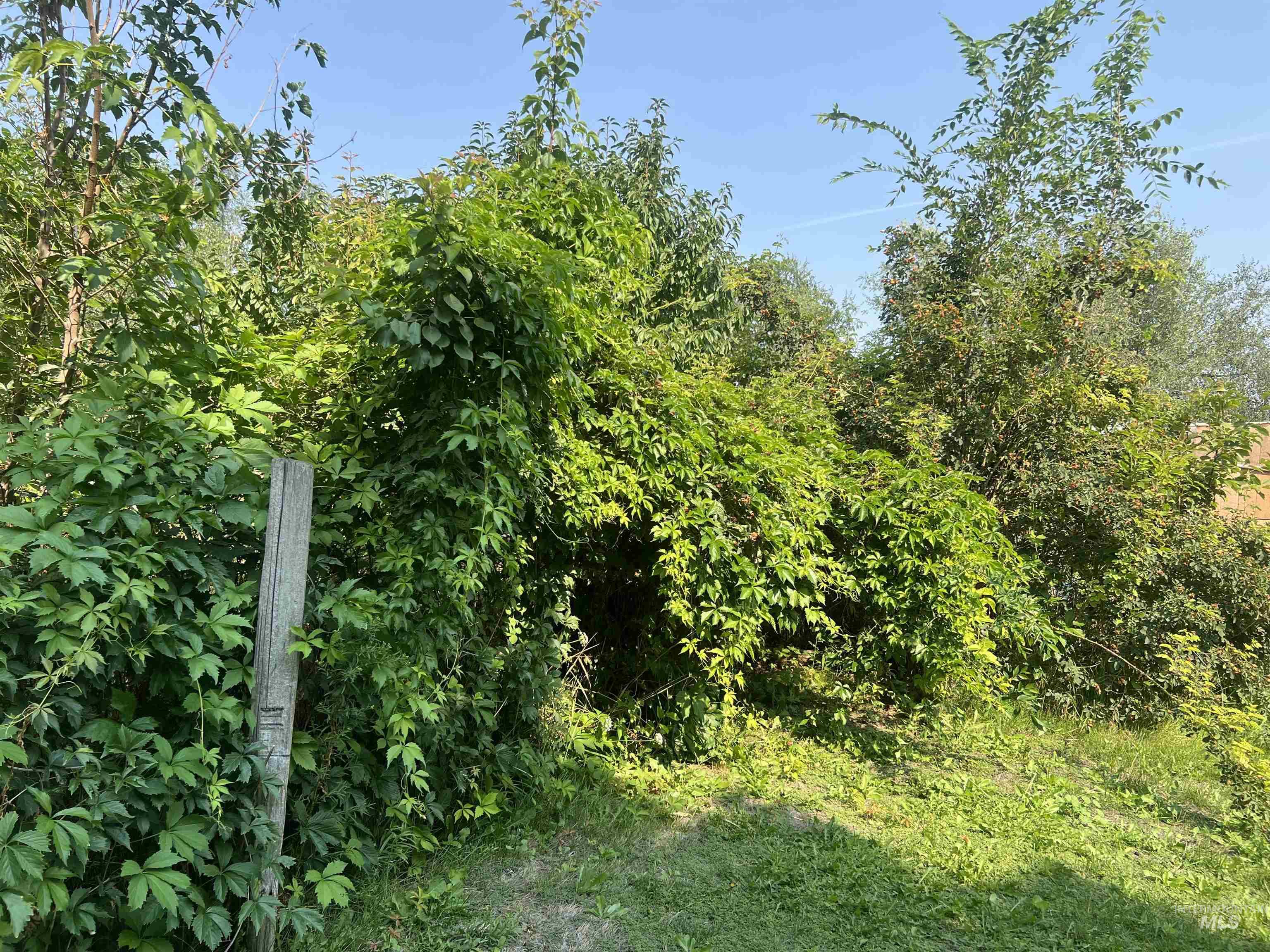 919 & 921 S. Fir Property Photo 22
