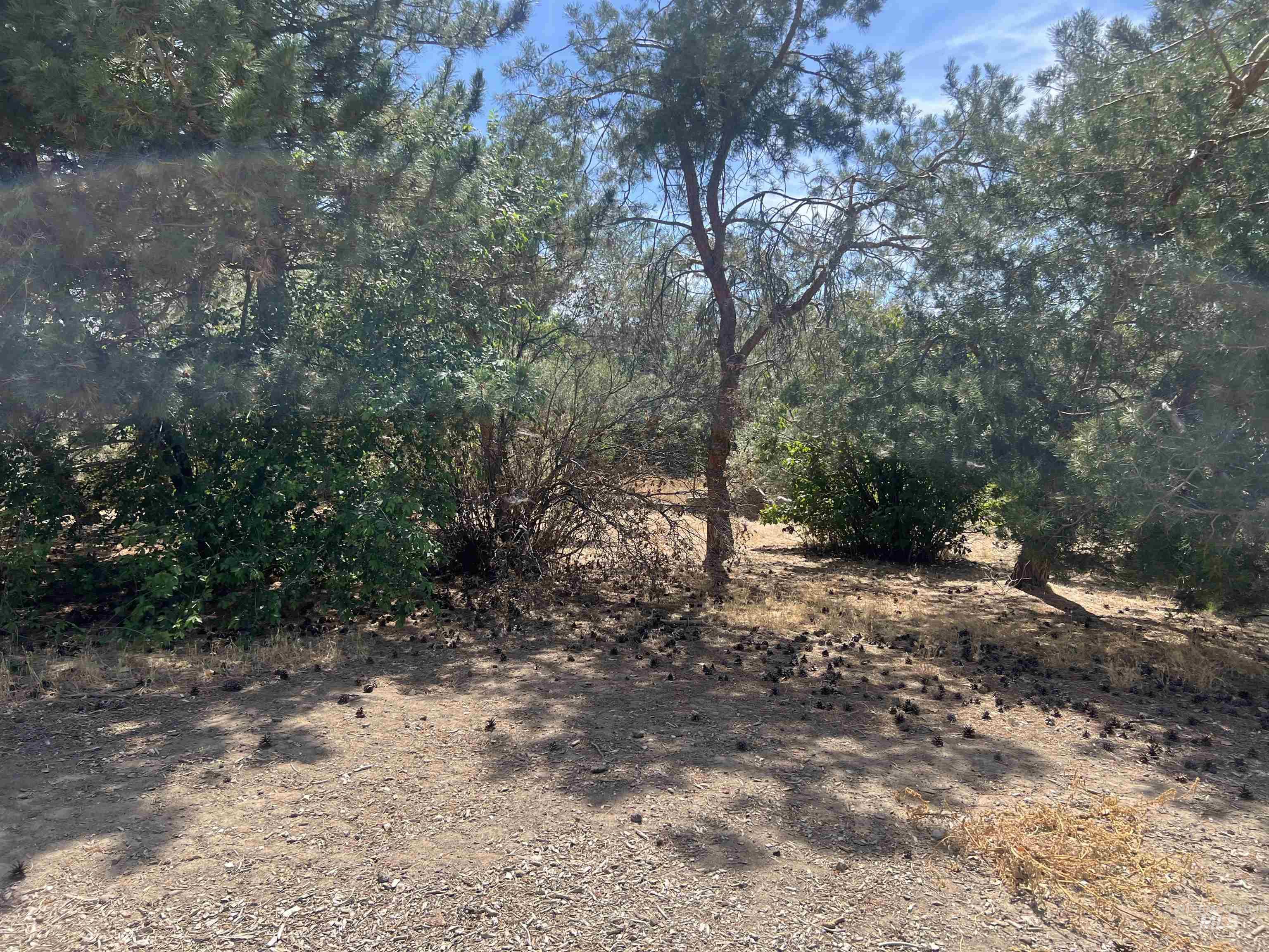 919 & 921 S. Fir Property Photo 23