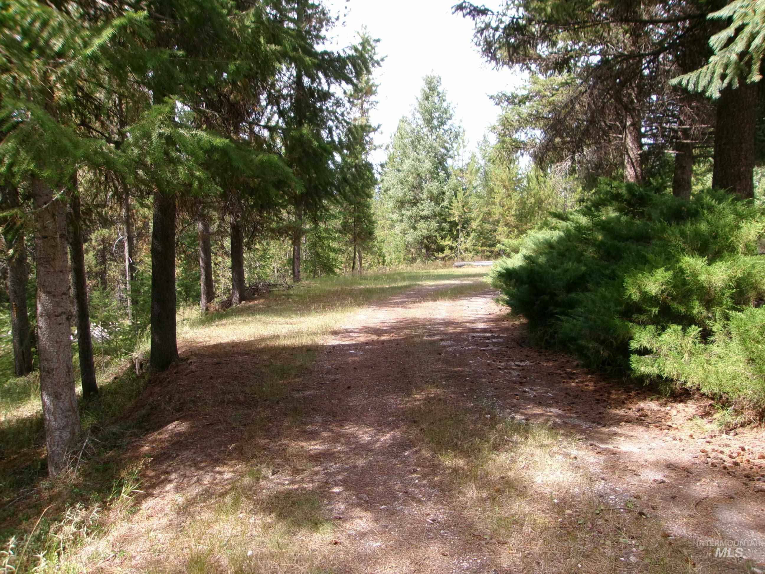 240 Ridgeway Drive Property Photo 15