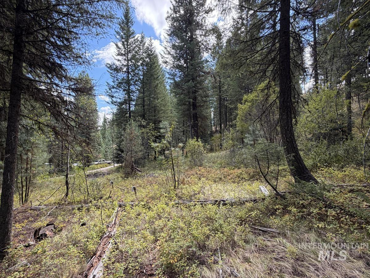 48 Rehn Loop Property Photo 3