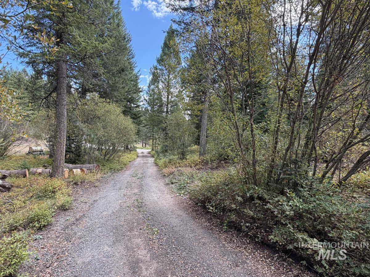 48 Rehn Loop Property Photo 7