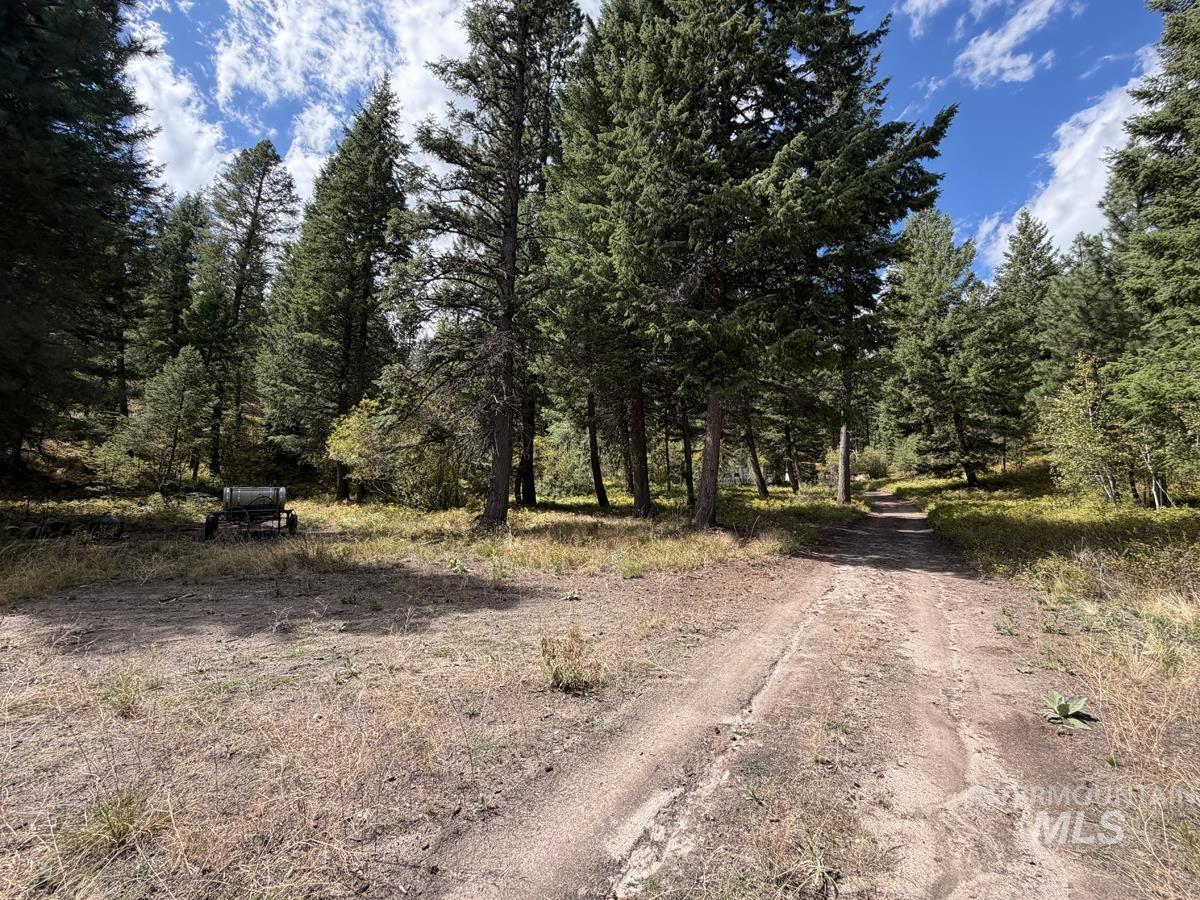 48 Rehn Loop Property Photo 8