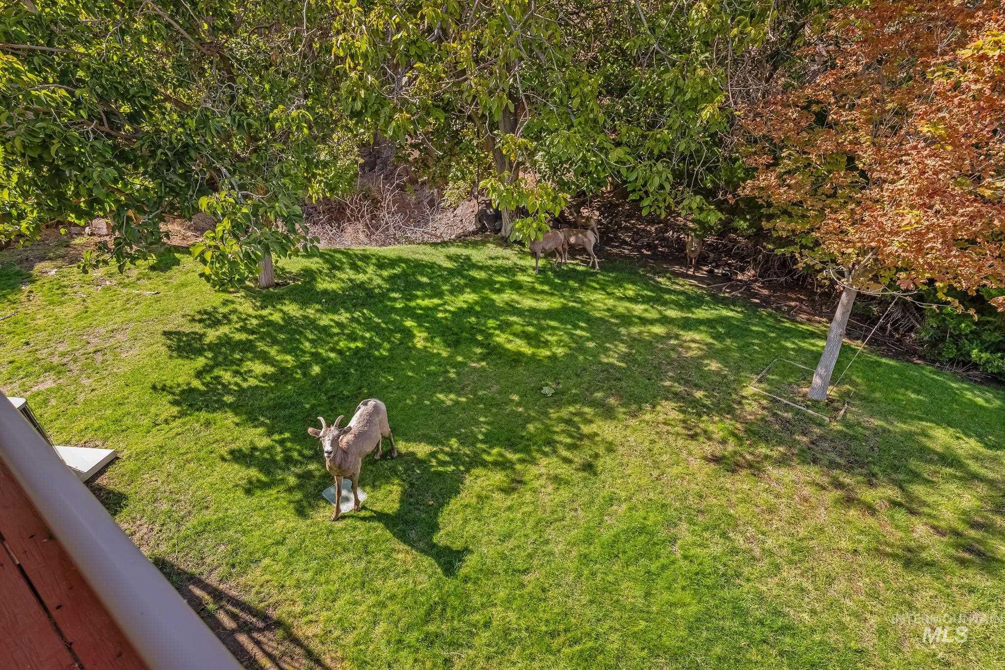 37896 Grande Ronde Property Photo 19
