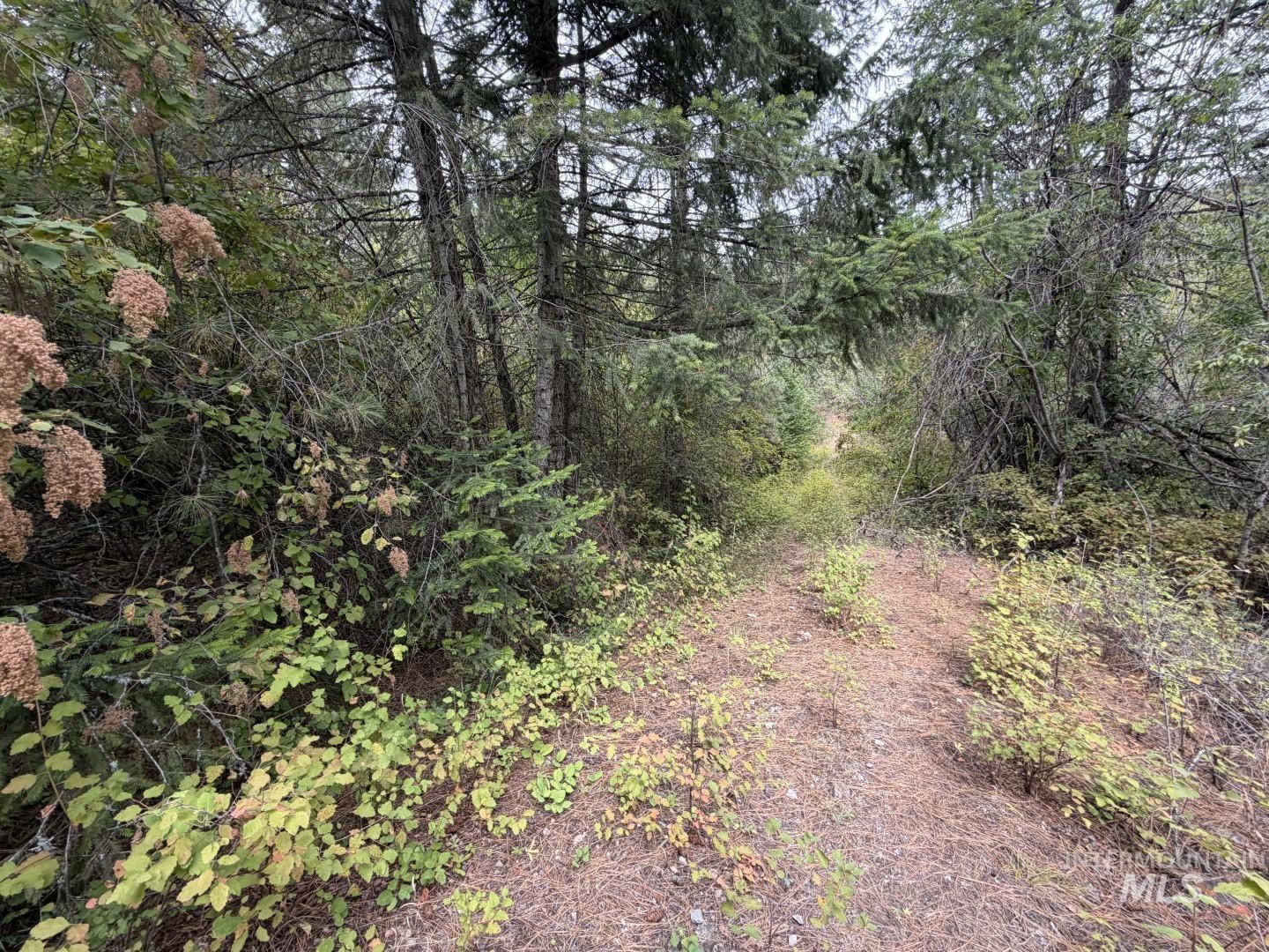 Nka Snowberry Lane Lot 13 Property Photo 1