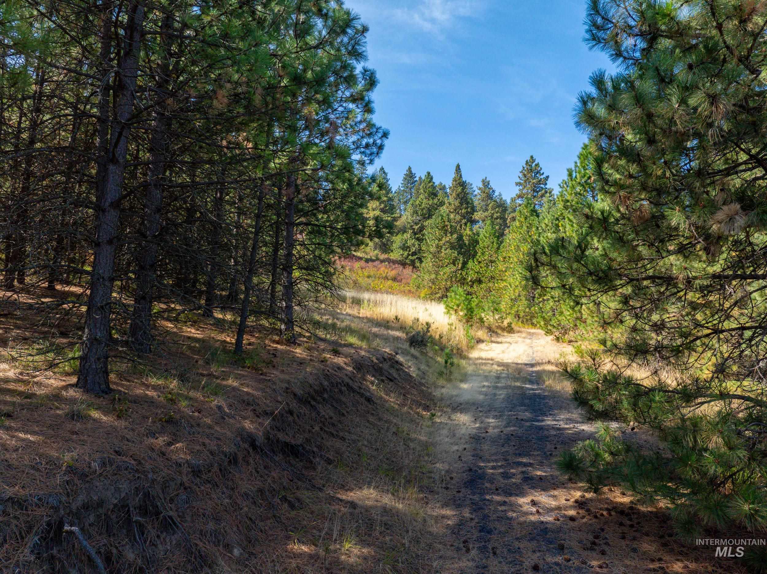 Tbd Katnook Lane Property Photo 3