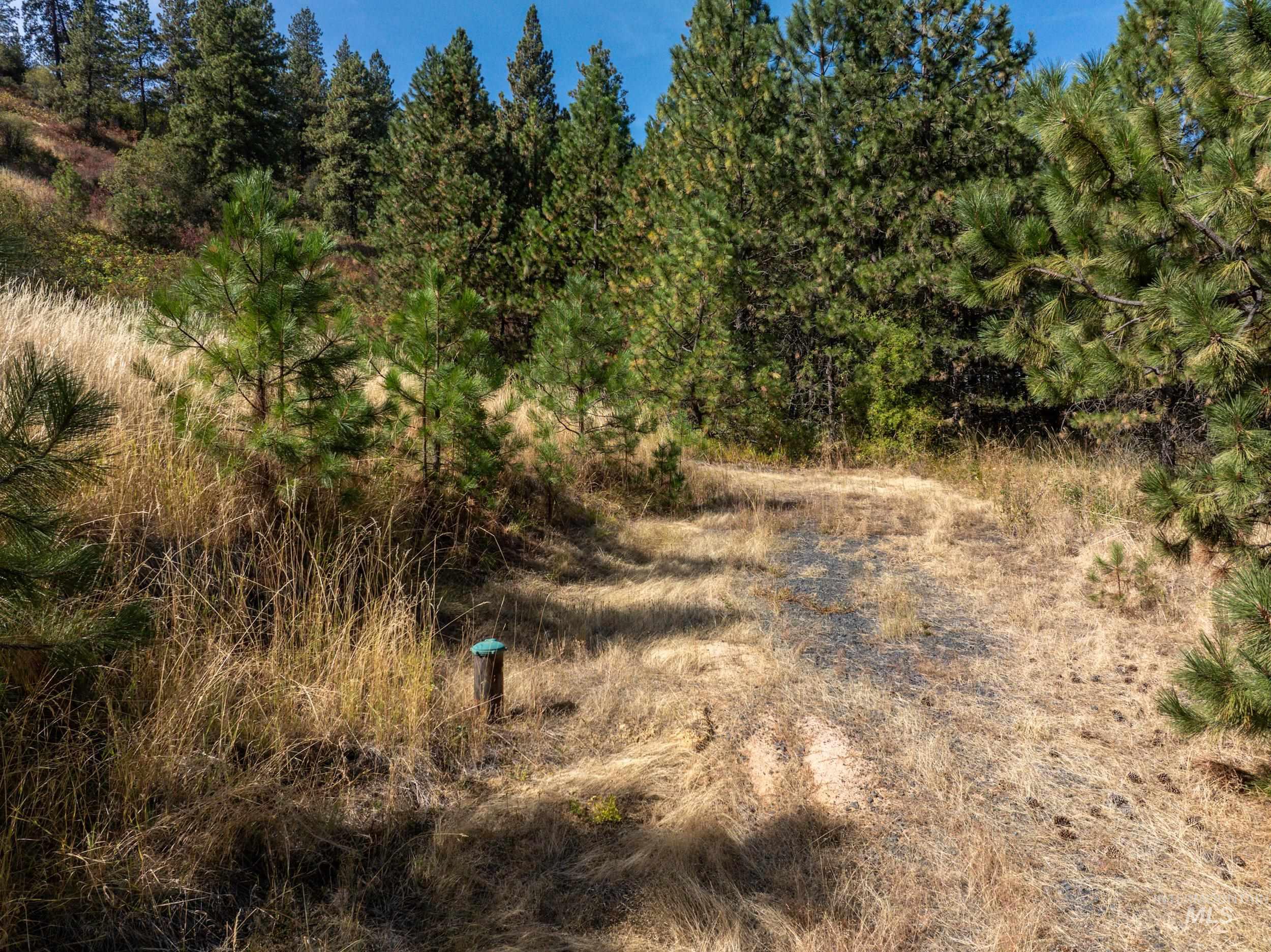Tbd Katnook Lane Property Photo 4