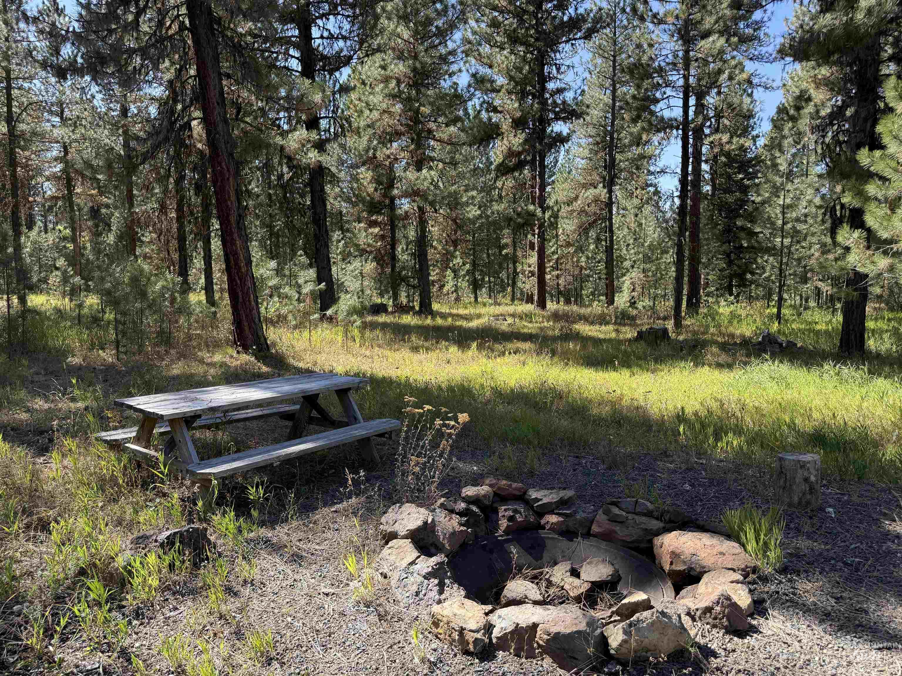 3177 Timber Ridge Drive Property Photo 1