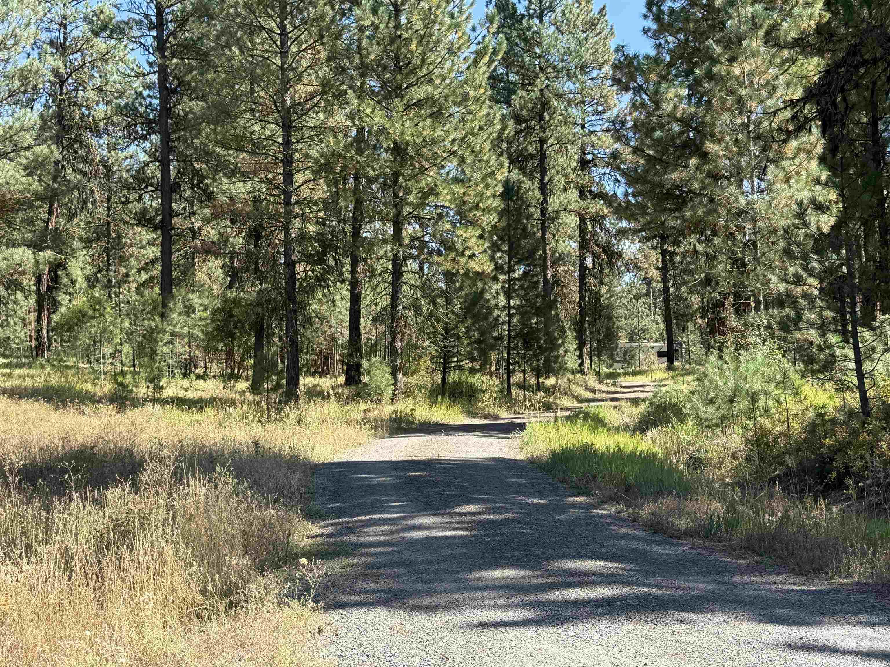 3177 Timber Ridge Drive Property Photo 2