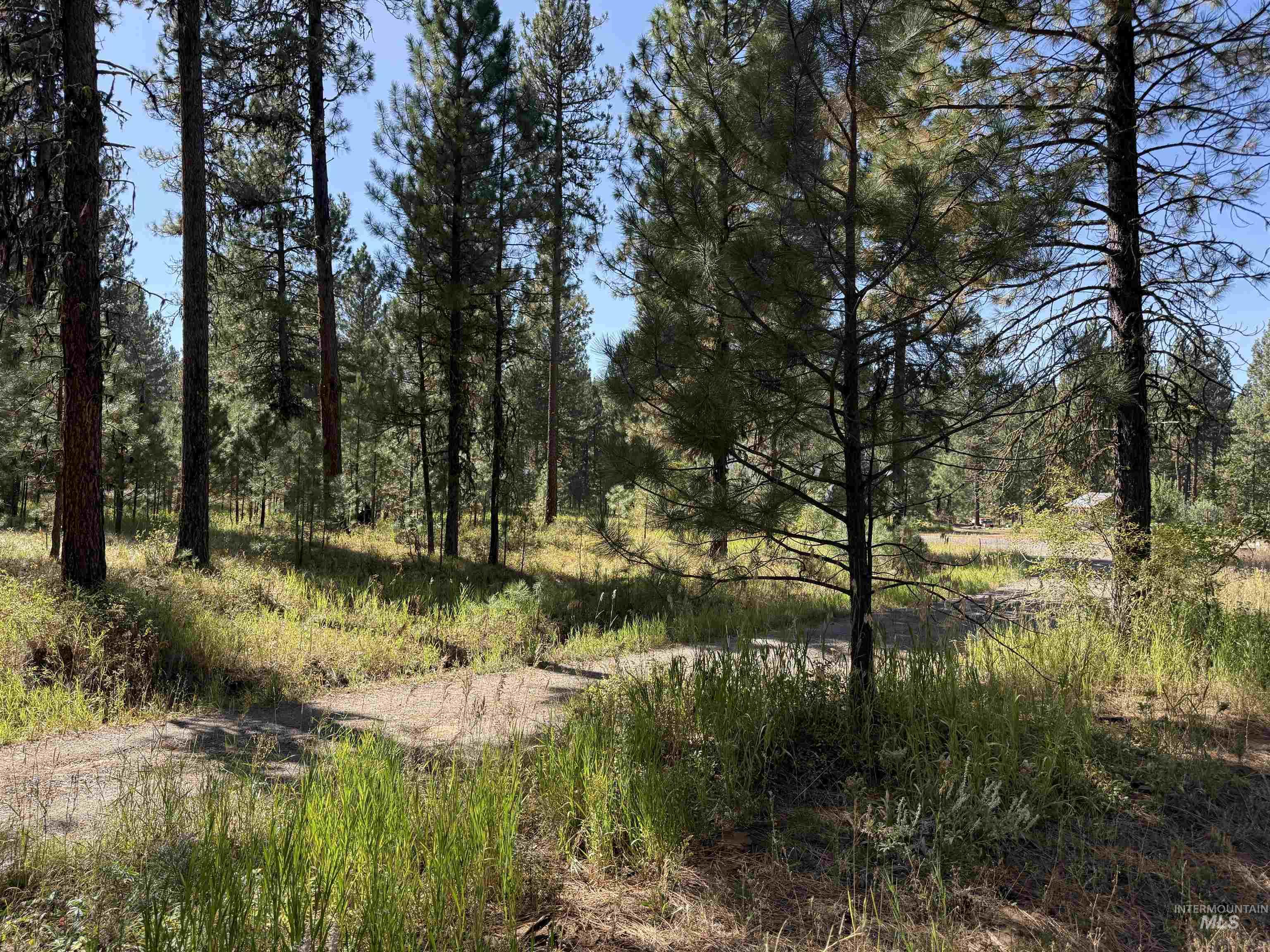 3177 Timber Ridge Drive Property Photo 3