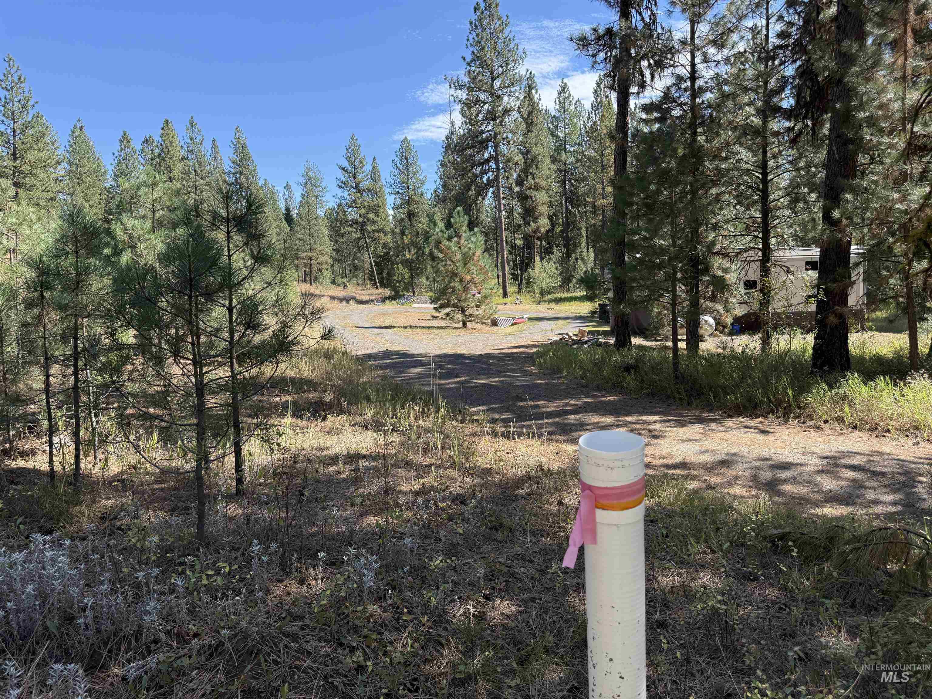 3177 Timber Ridge Drive Property Photo 7