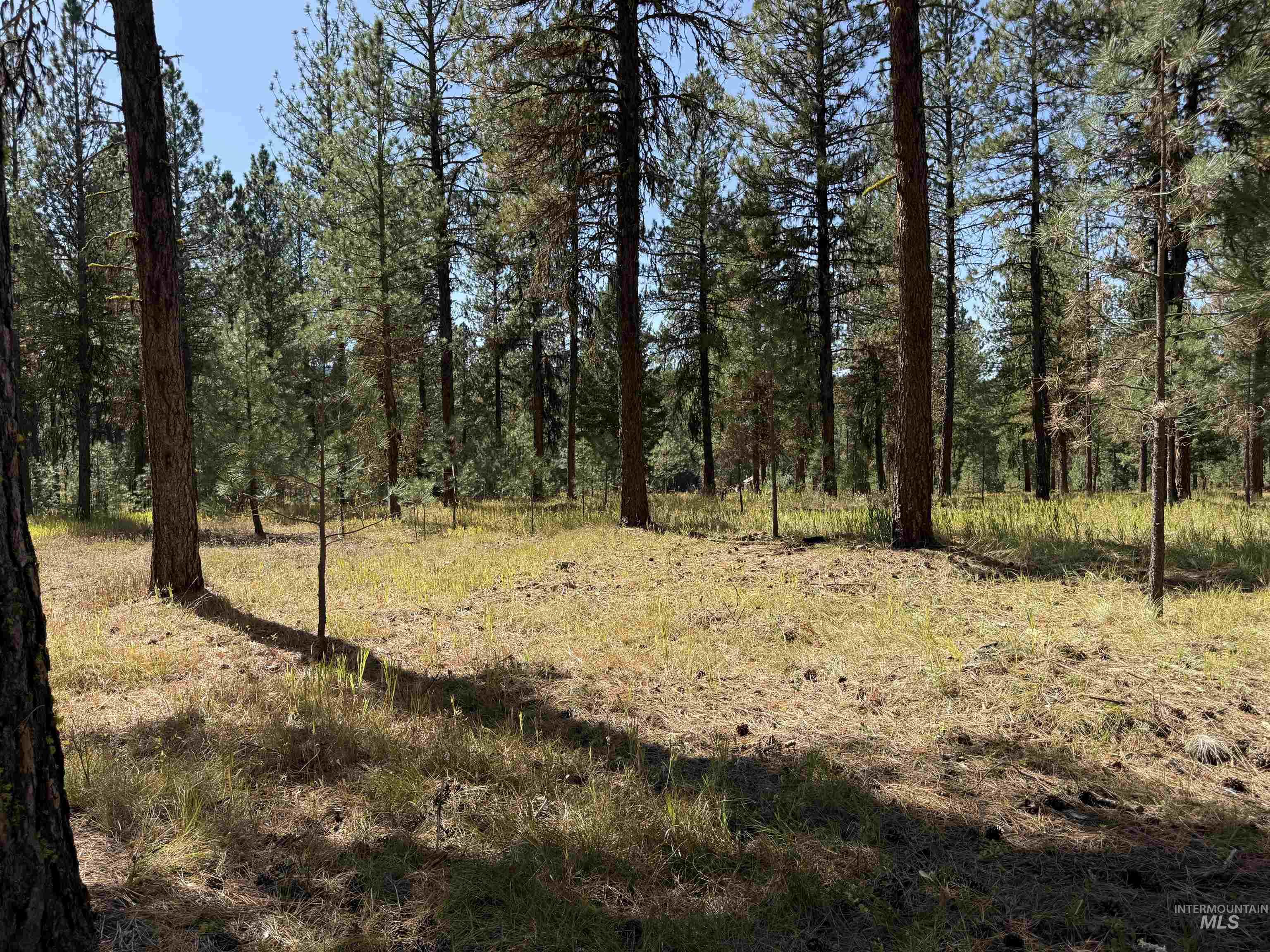 3177 Timber Ridge Drive Property Photo 9