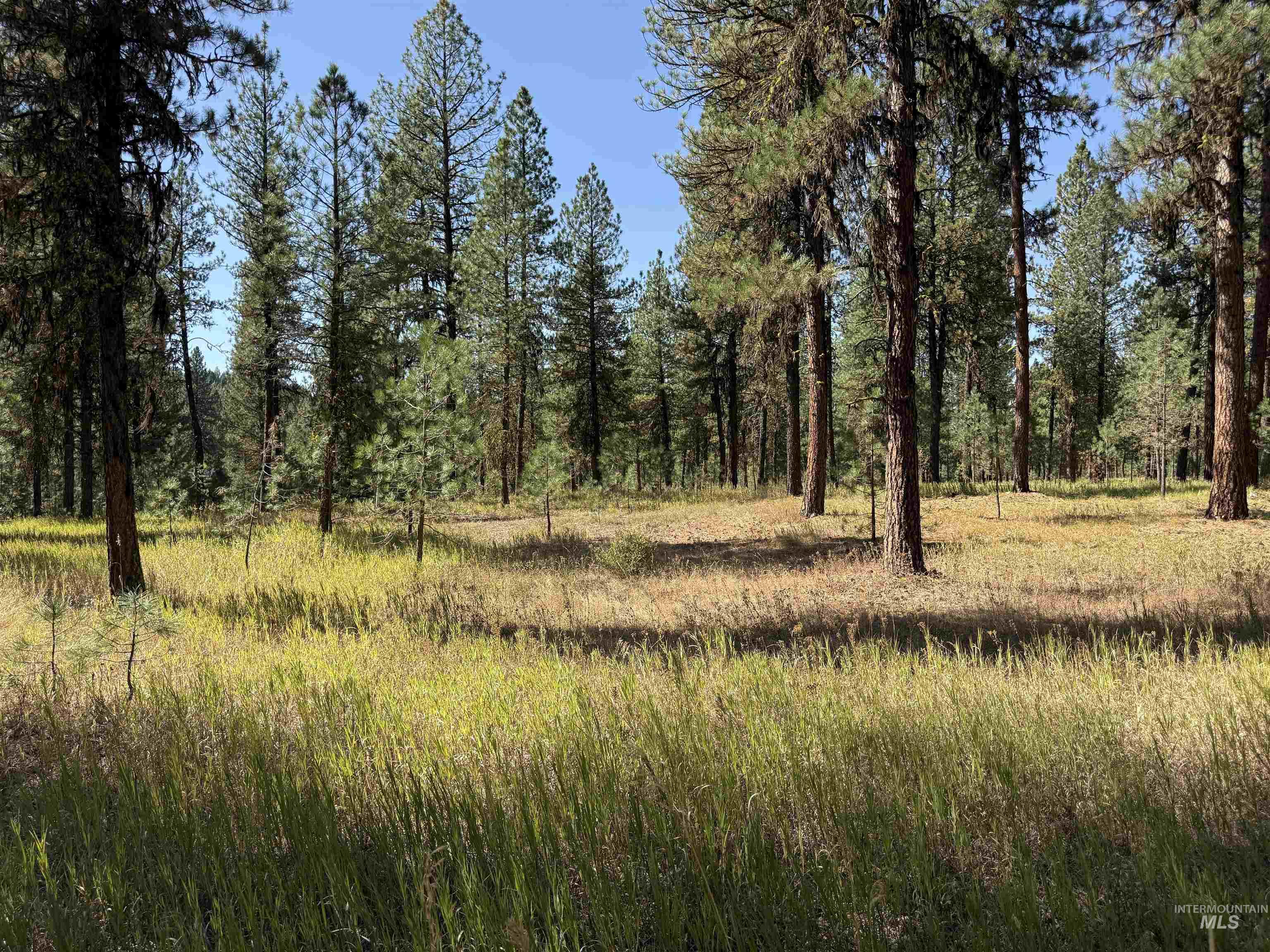 3177 Timber Ridge Drive Property Photo 10