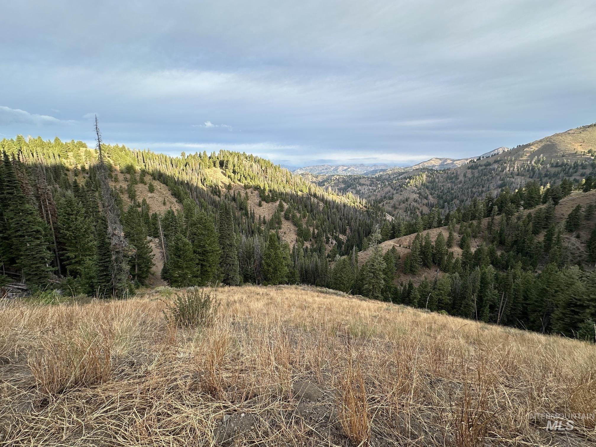 Carrie Creek Rd. Smokey Mountains Property Photo 1