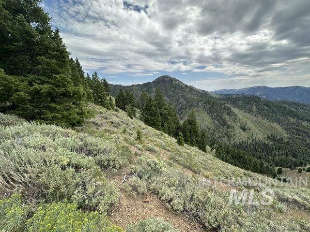 Carrie Creek Rd. Smokey Mountains Property Photo 3