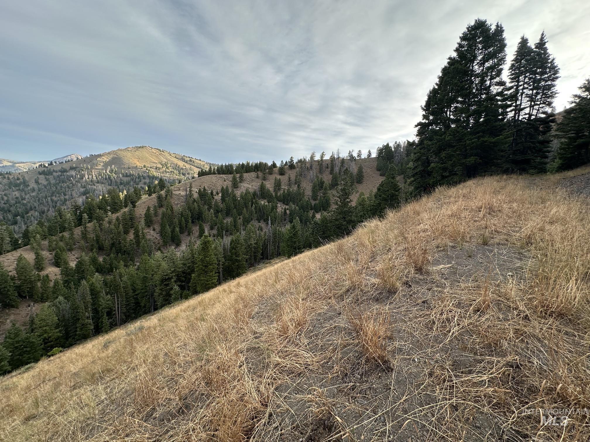 Carrie Creek Rd. Smokey Mountains Property Photo 11
