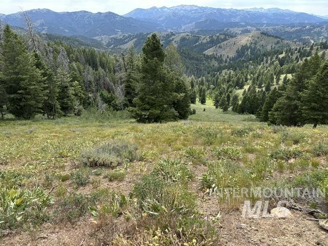 Carrie Creek Rd. Smokey Mountains Property Photo 16