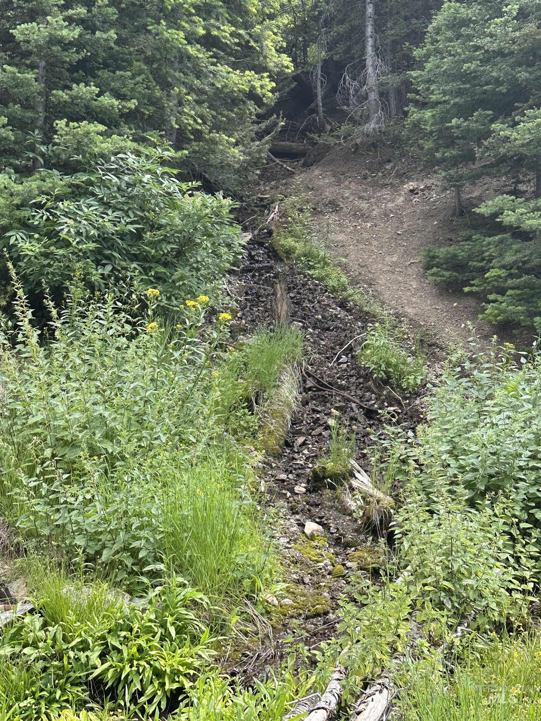 Carrie Creek Rd. Smokey Mountains Property Photo 21
