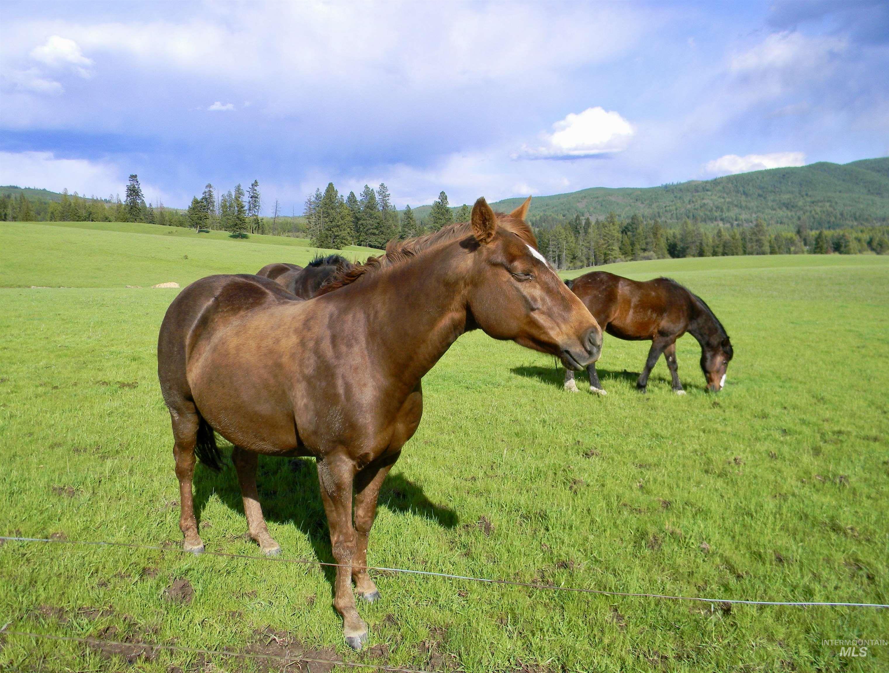 2000 Park Rd. Property Photo 28