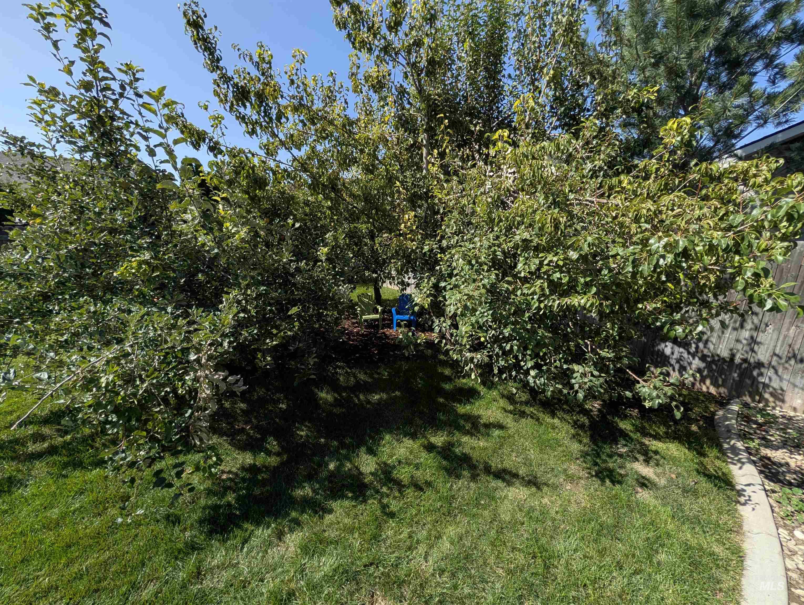 3389 N Yellow Peak Property Photo 33