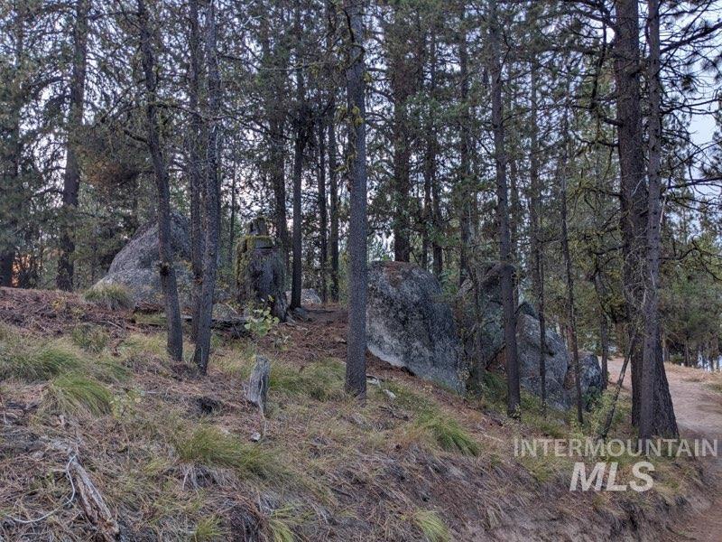 175 Pointes Rd Property Photo 6