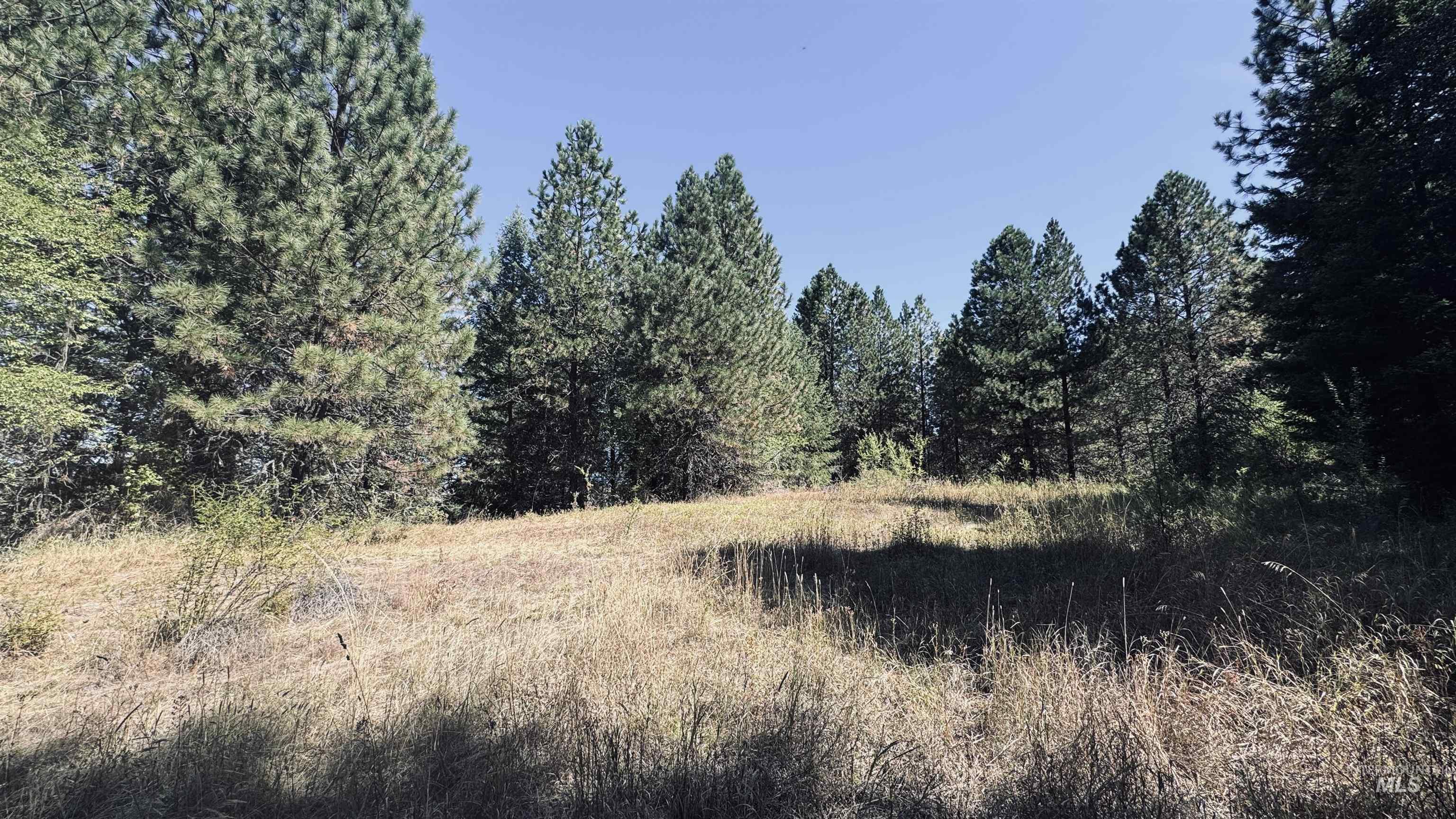 Tbd Dalton Acres Rd Property Photo 1
