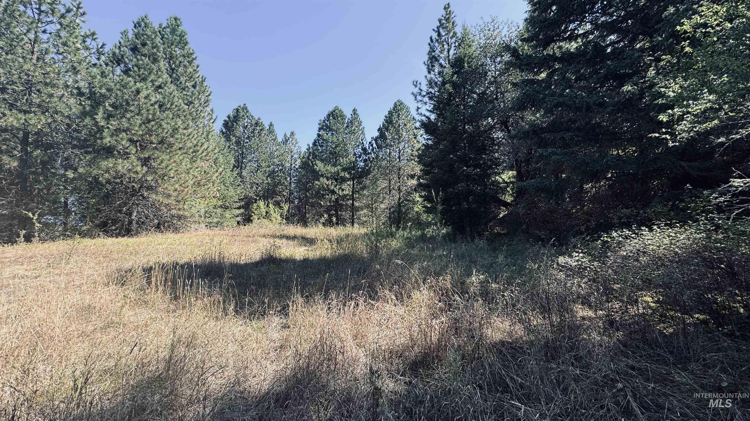 Tbd Dalton Acres Rd Property Photo 2
