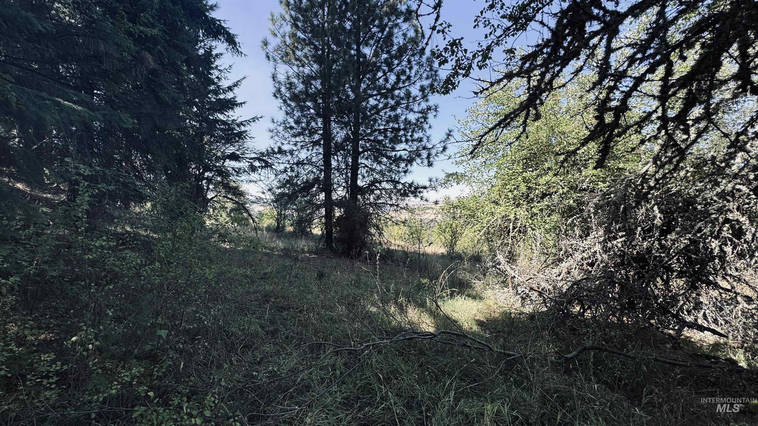 Tbd Dalton Acres Rd Property Photo 3