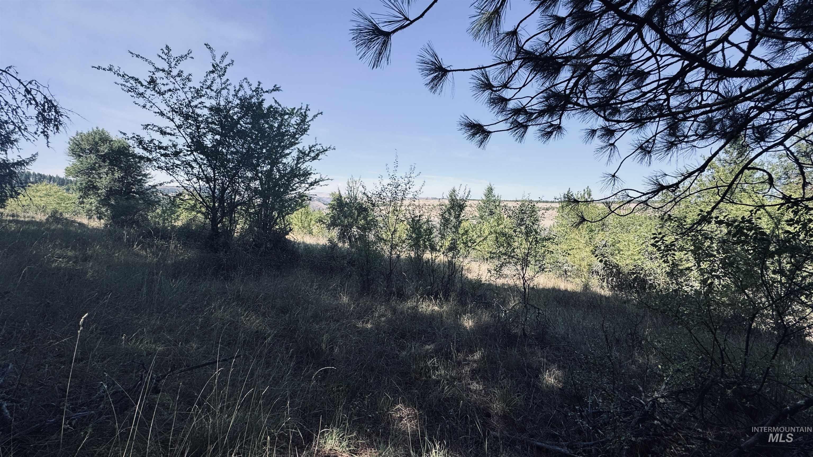 Tbd Dalton Acres Rd Property Photo 4