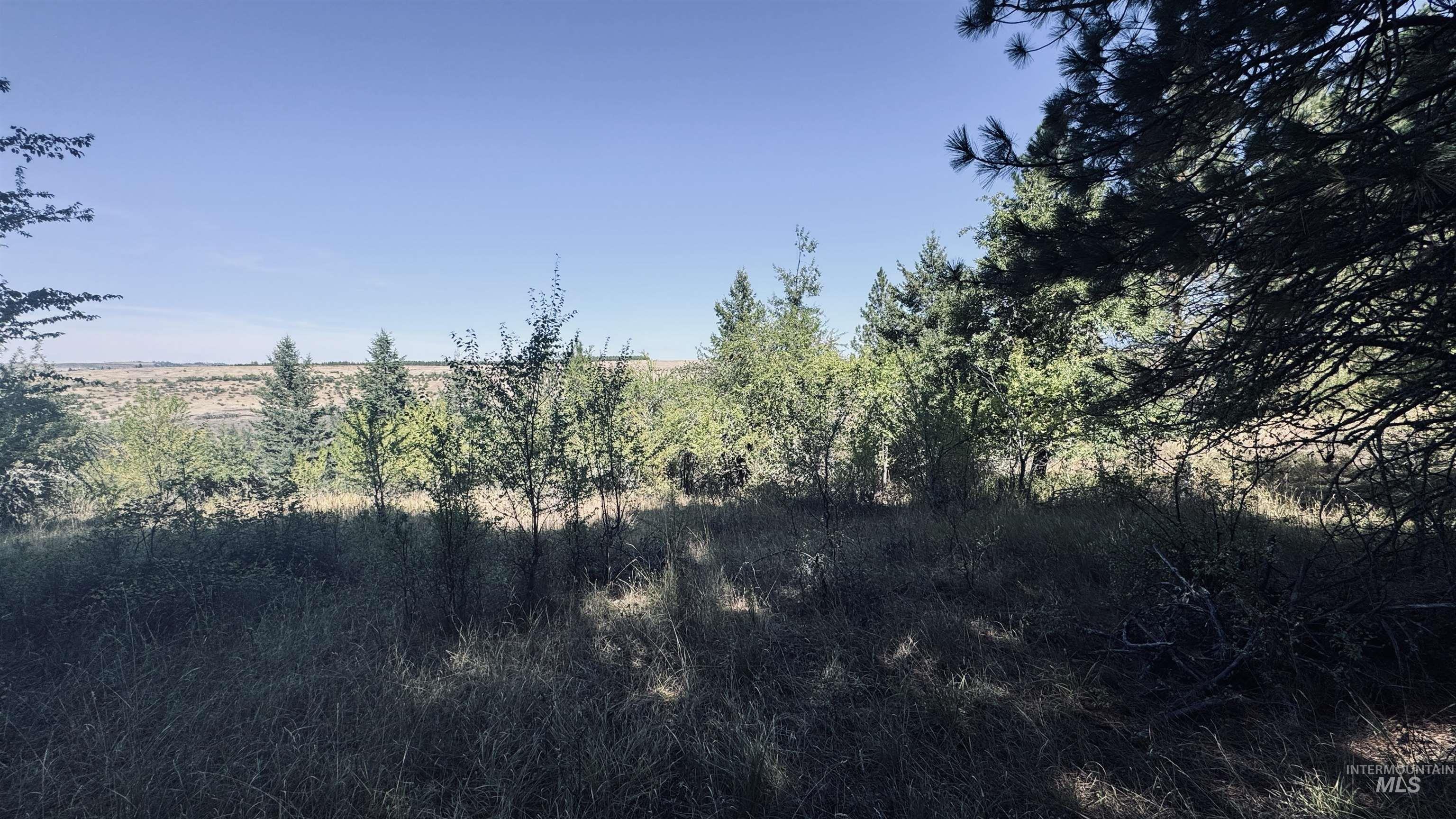 Tbd Dalton Acres Rd Property Photo 5