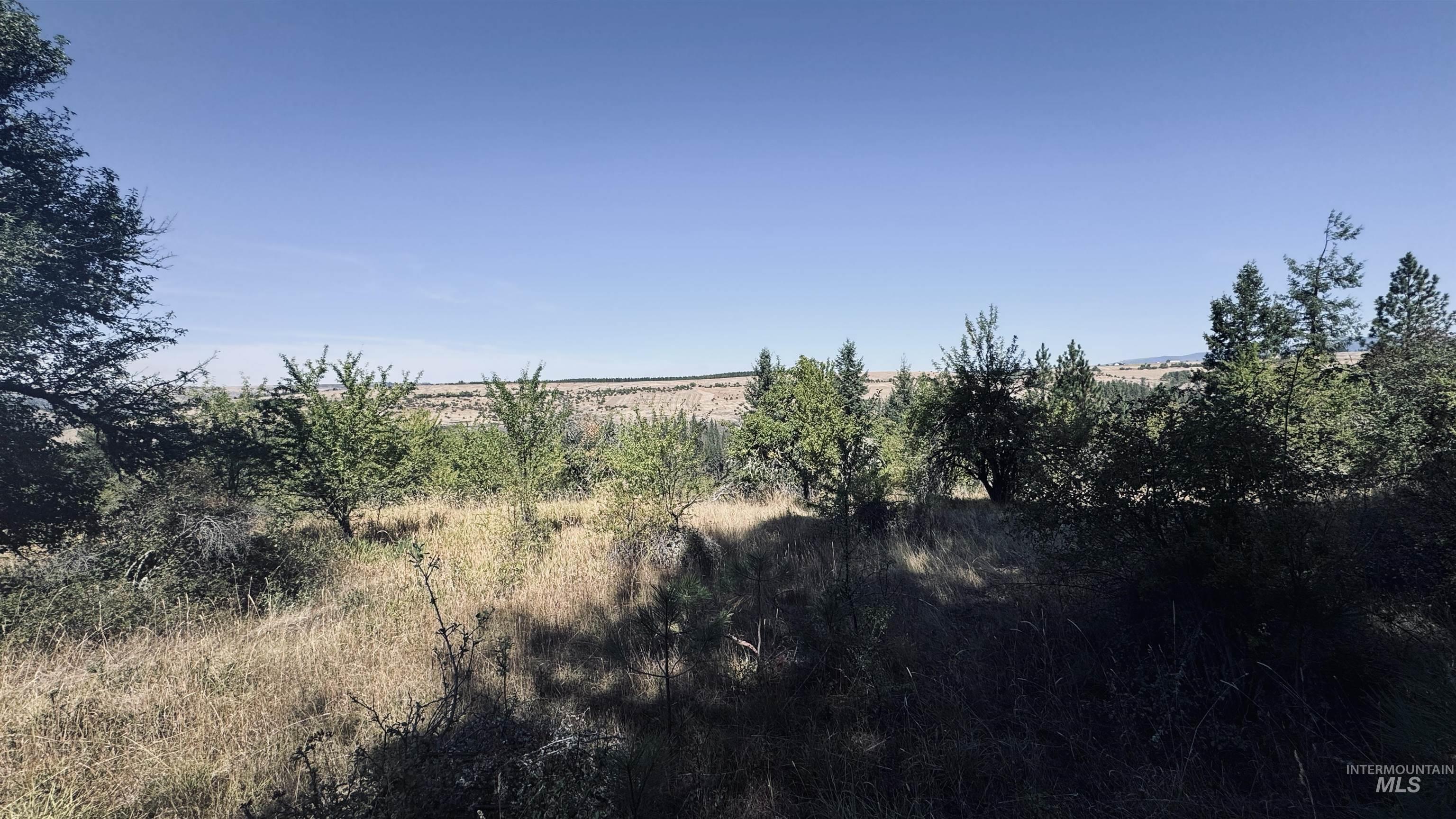 Tbd Dalton Acres Rd Property Photo 6