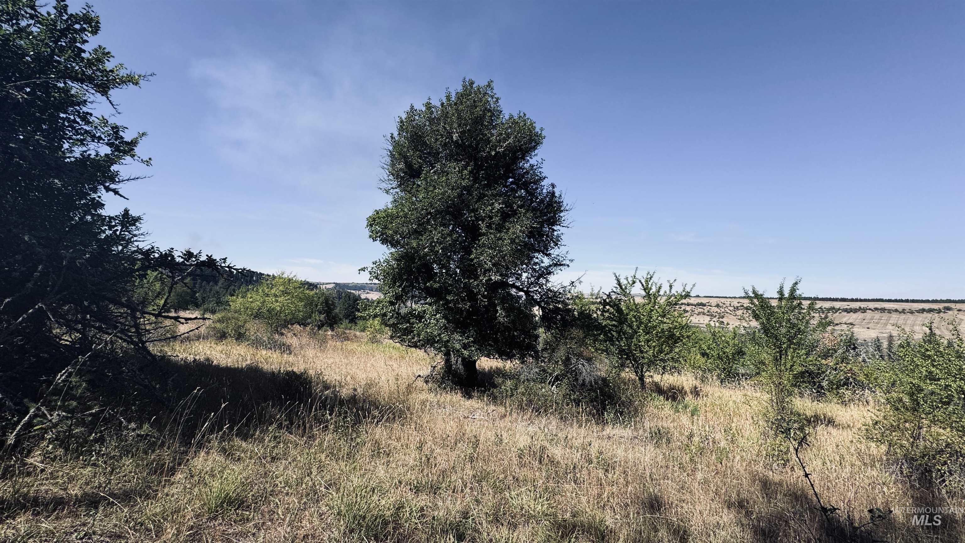 Tbd Dalton Acres Rd Property Photo 7
