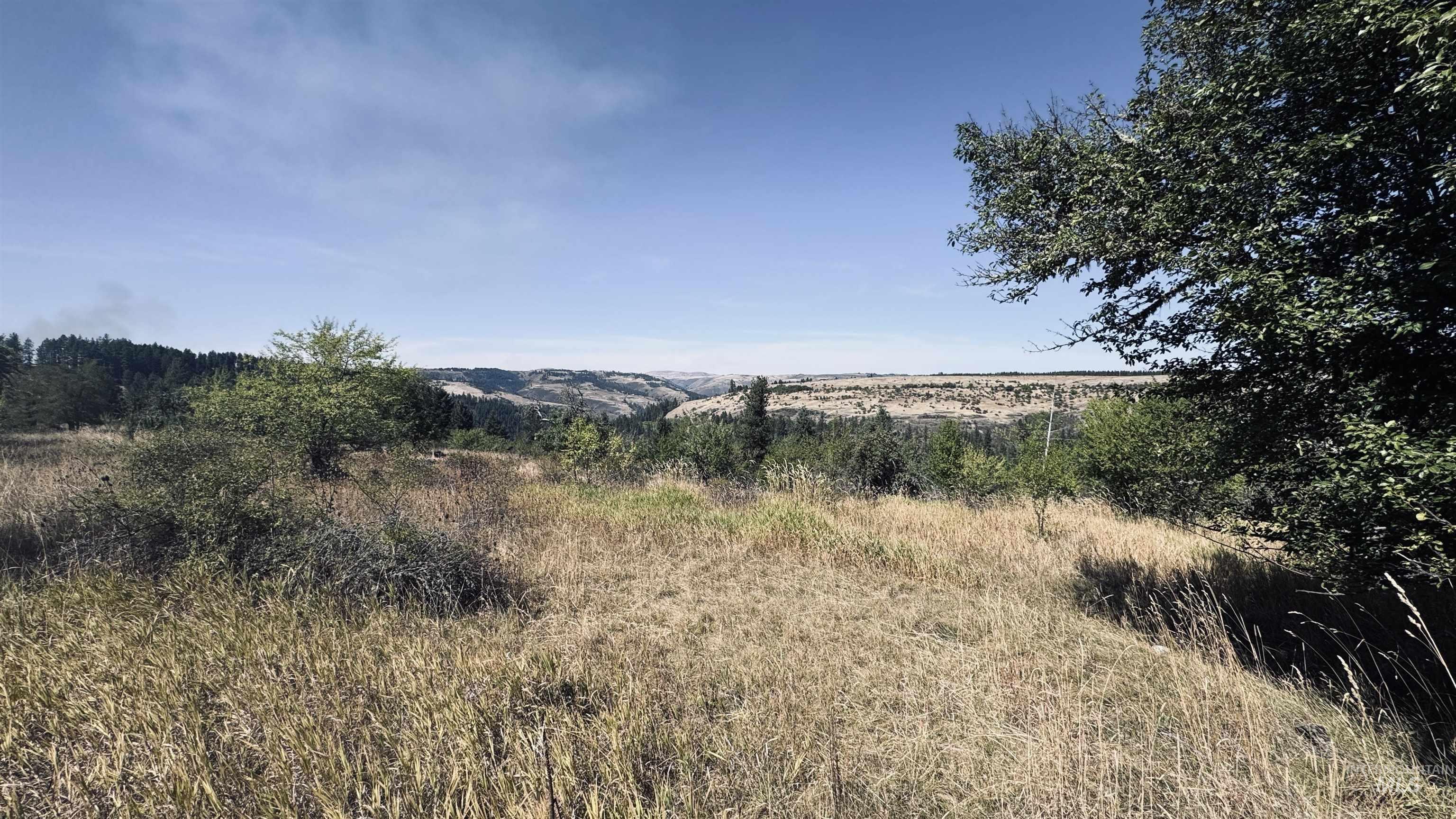 Tbd Dalton Acres Rd Property Photo 8