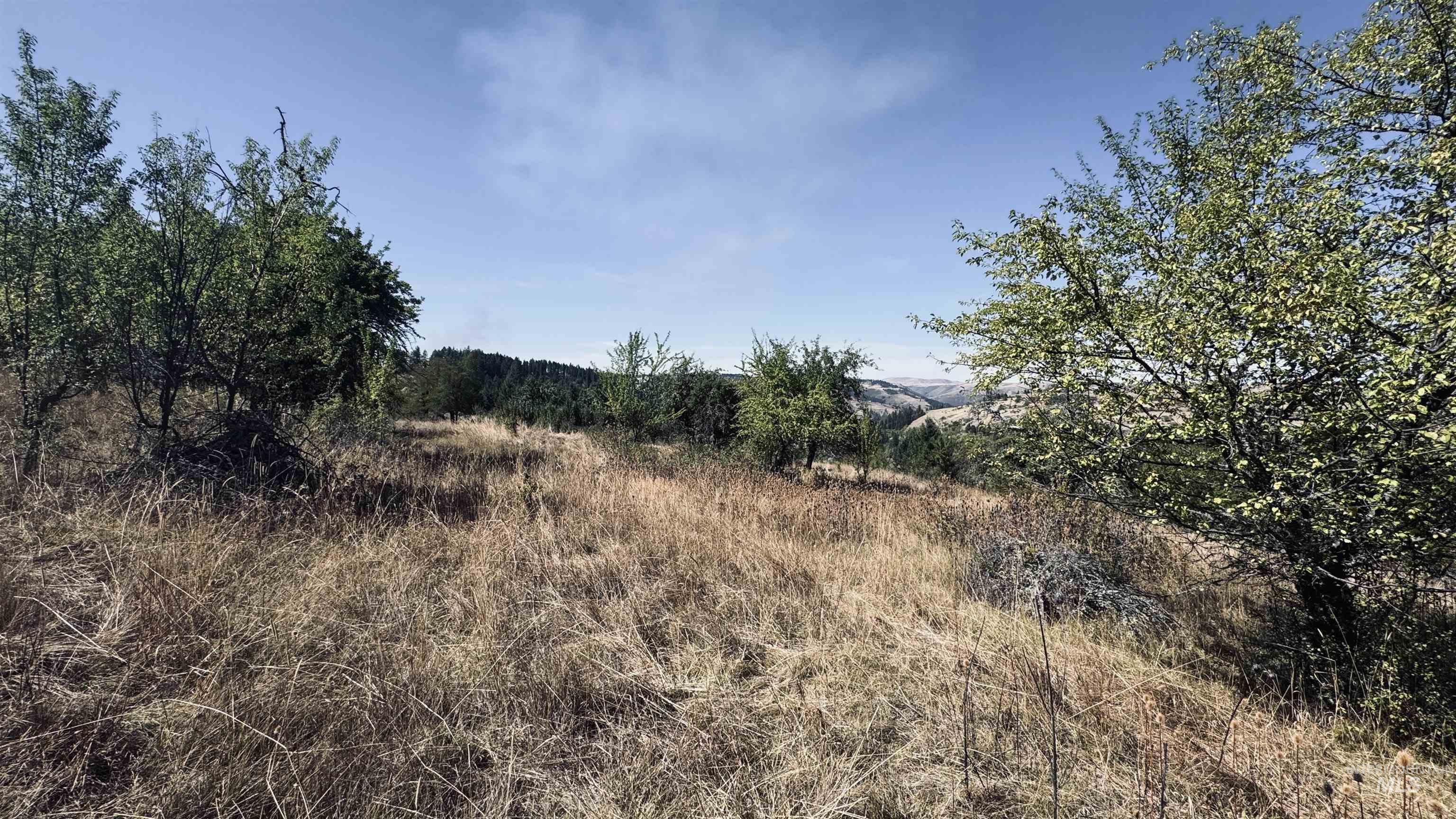 Tbd Dalton Acres Rd Property Photo 9
