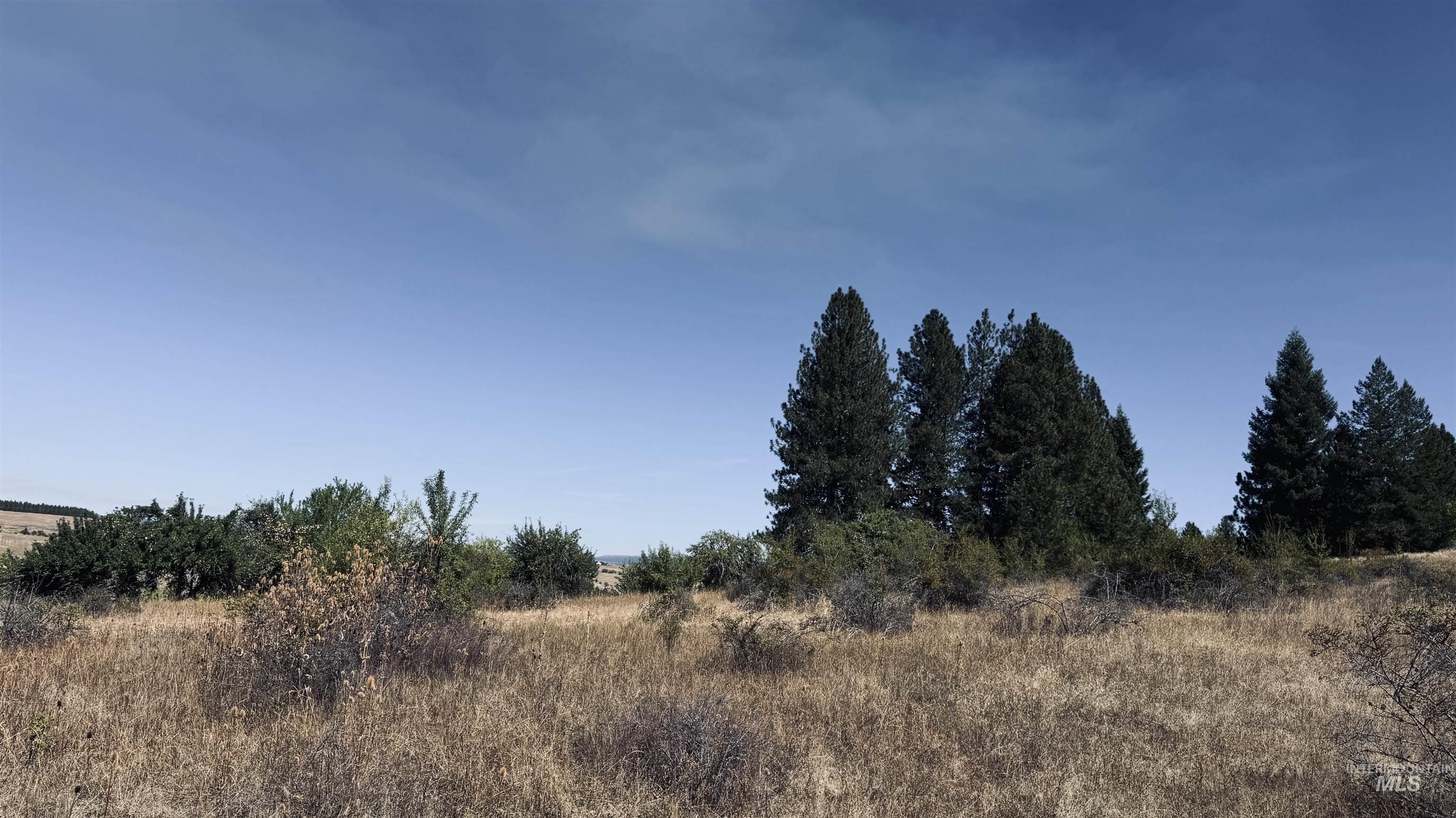 Tbd Dalton Acres Rd Property Photo 10