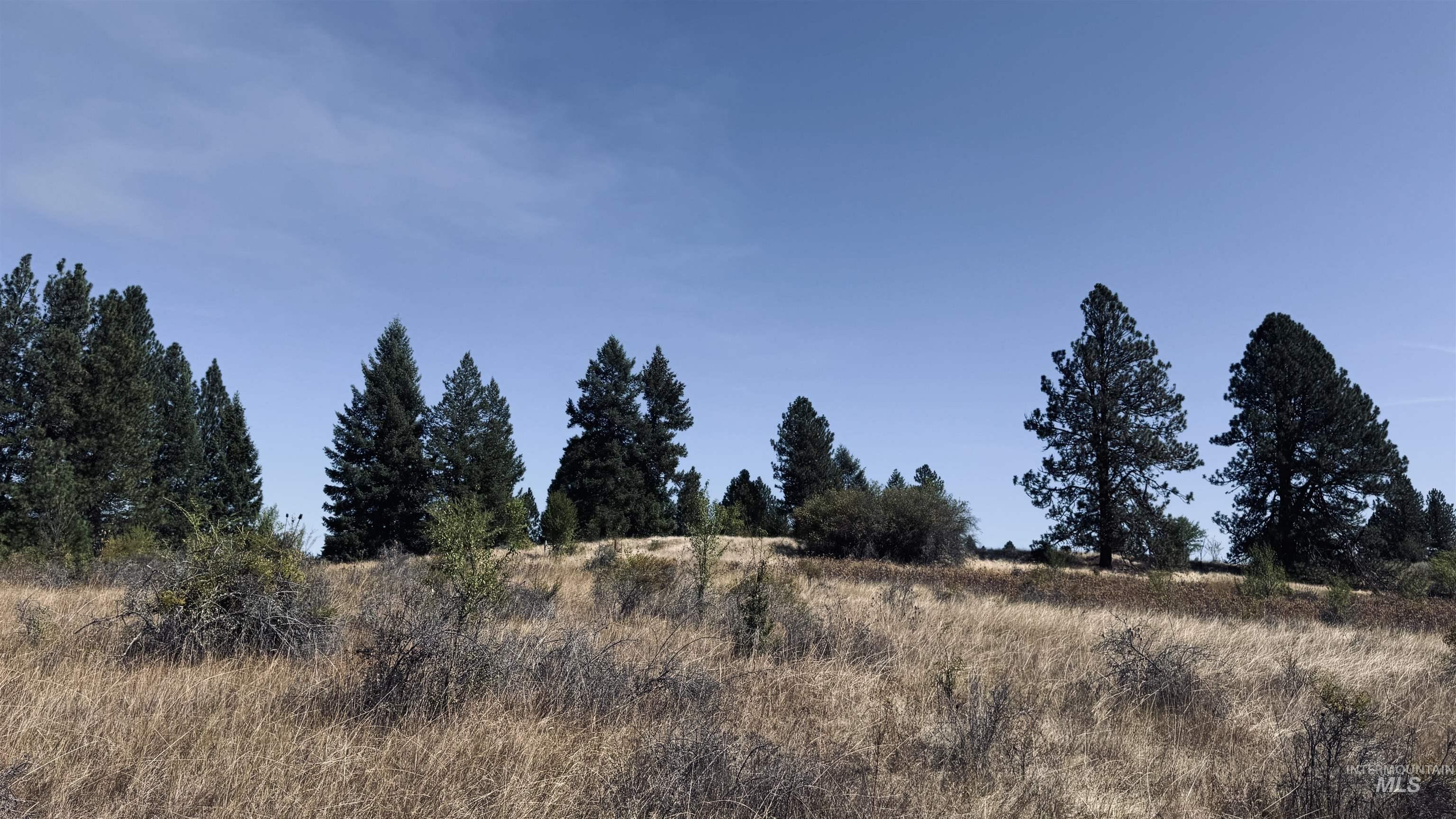 Tbd Dalton Acres Rd Property Photo 11