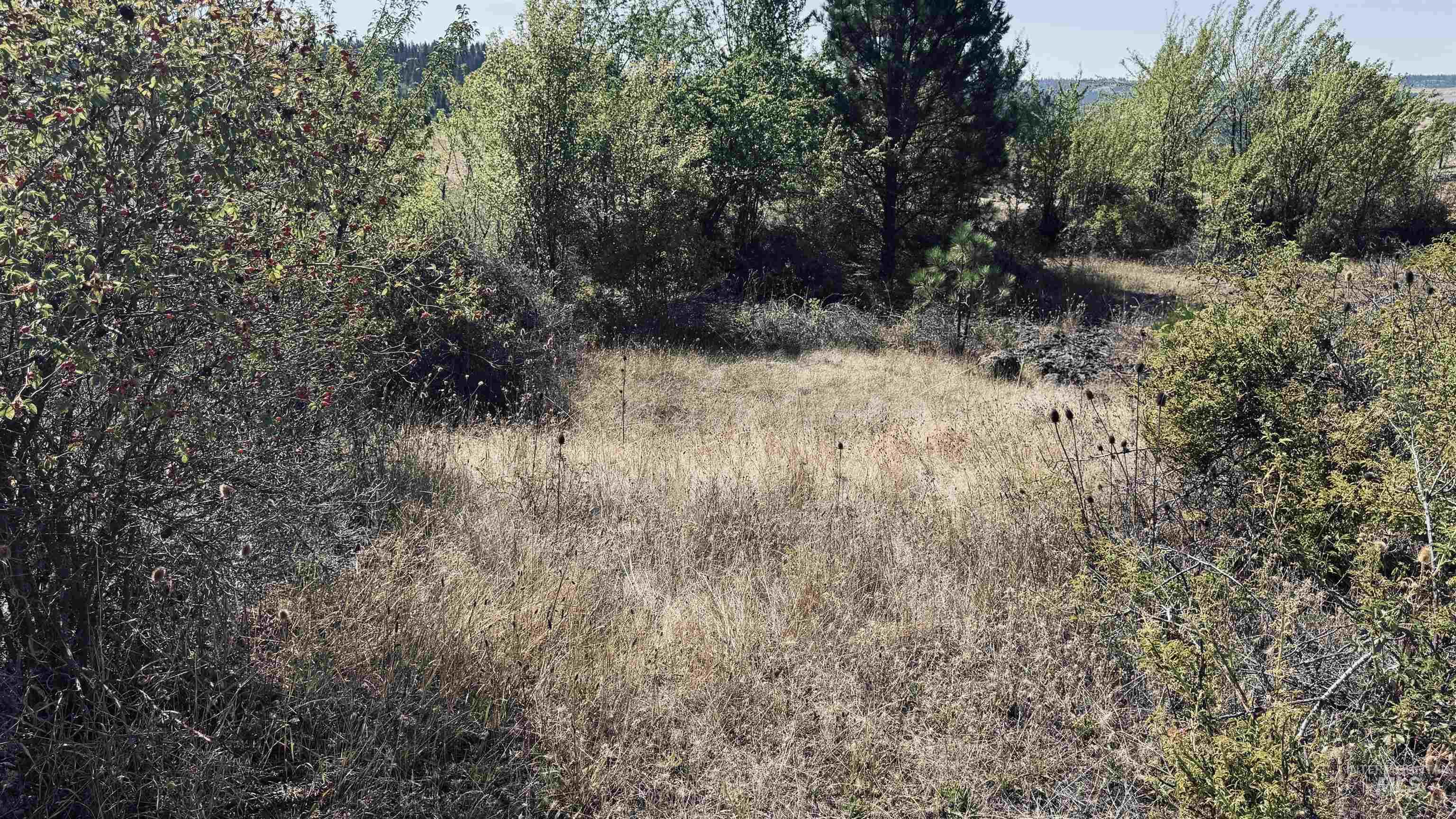 Tbd Dalton Acres Rd Property Photo 13