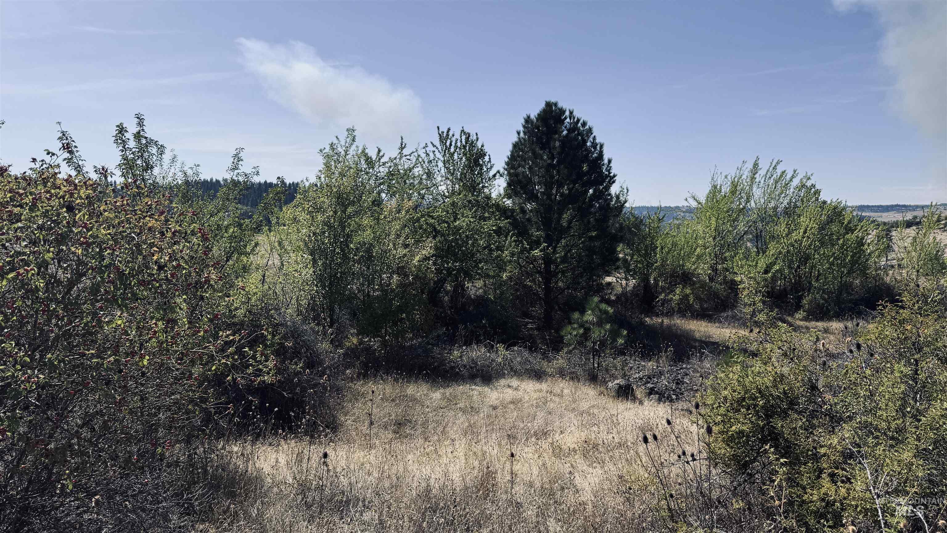 Tbd Dalton Acres Rd Property Photo 14