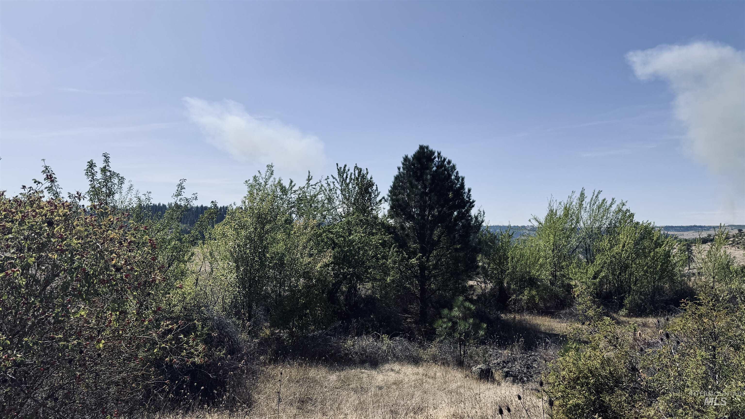 Tbd Dalton Acres Rd Property Photo 15