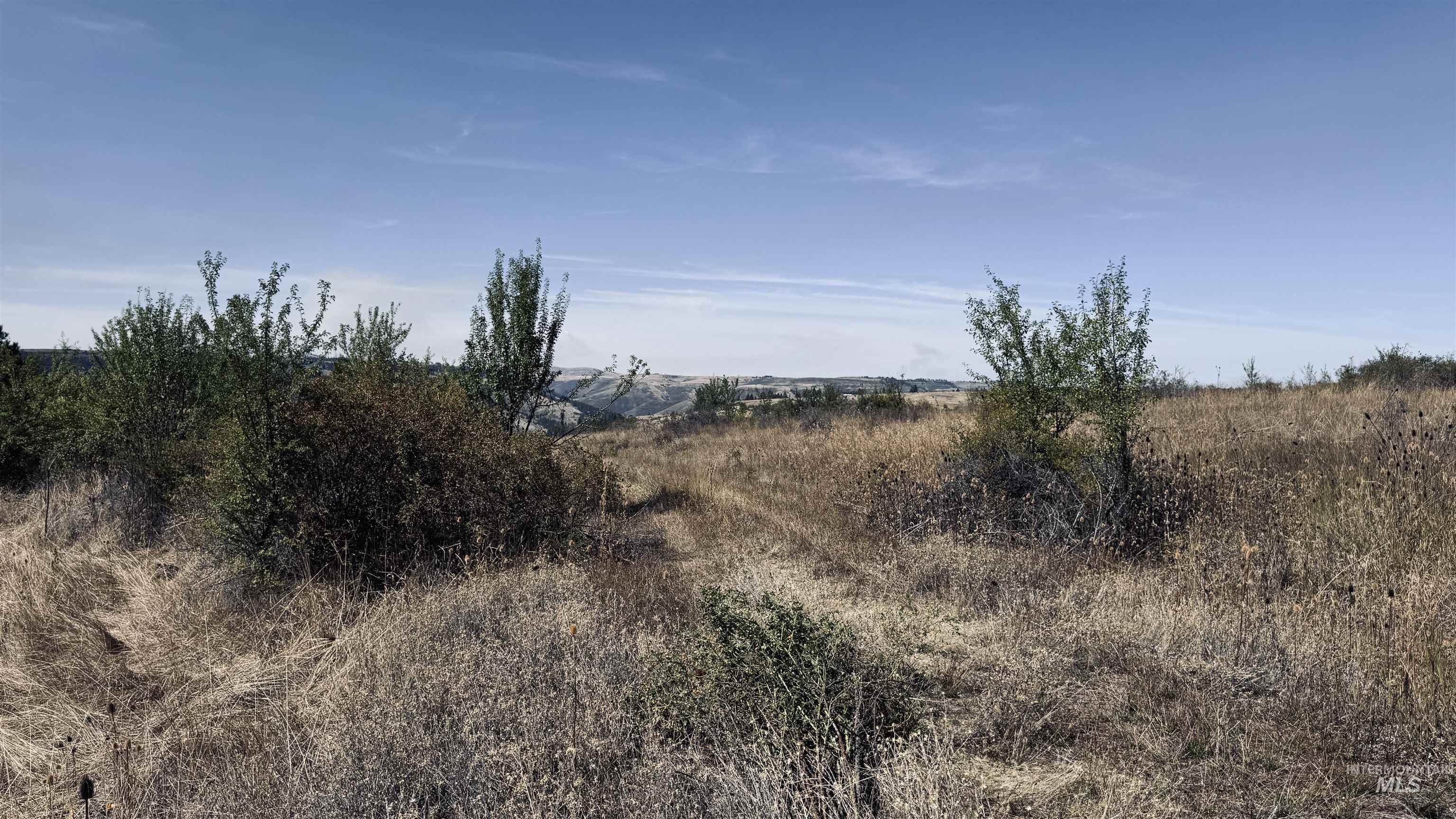 Tbd Dalton Acres Rd Property Photo 19