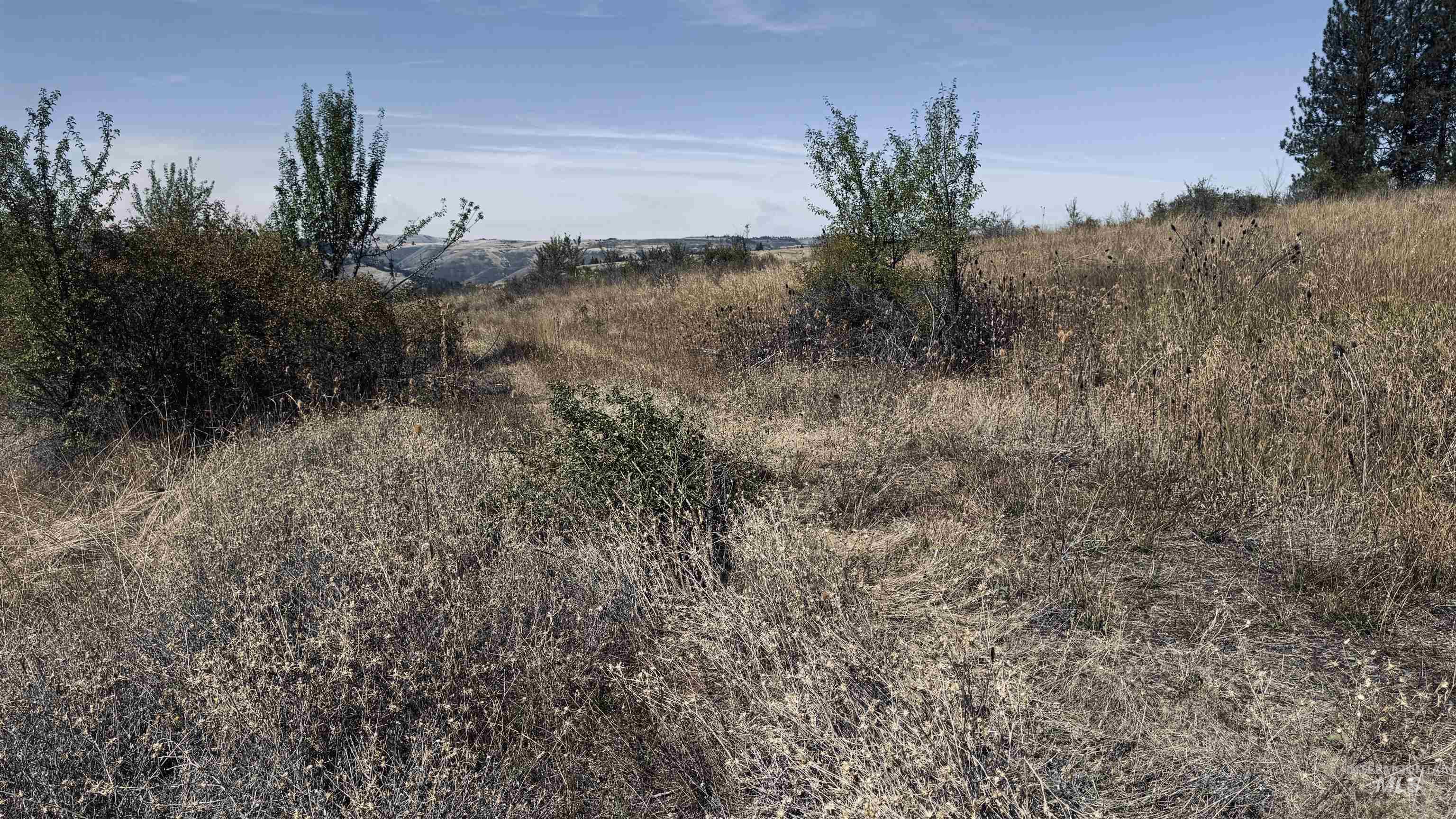 Tbd Dalton Acres Rd Property Photo 20