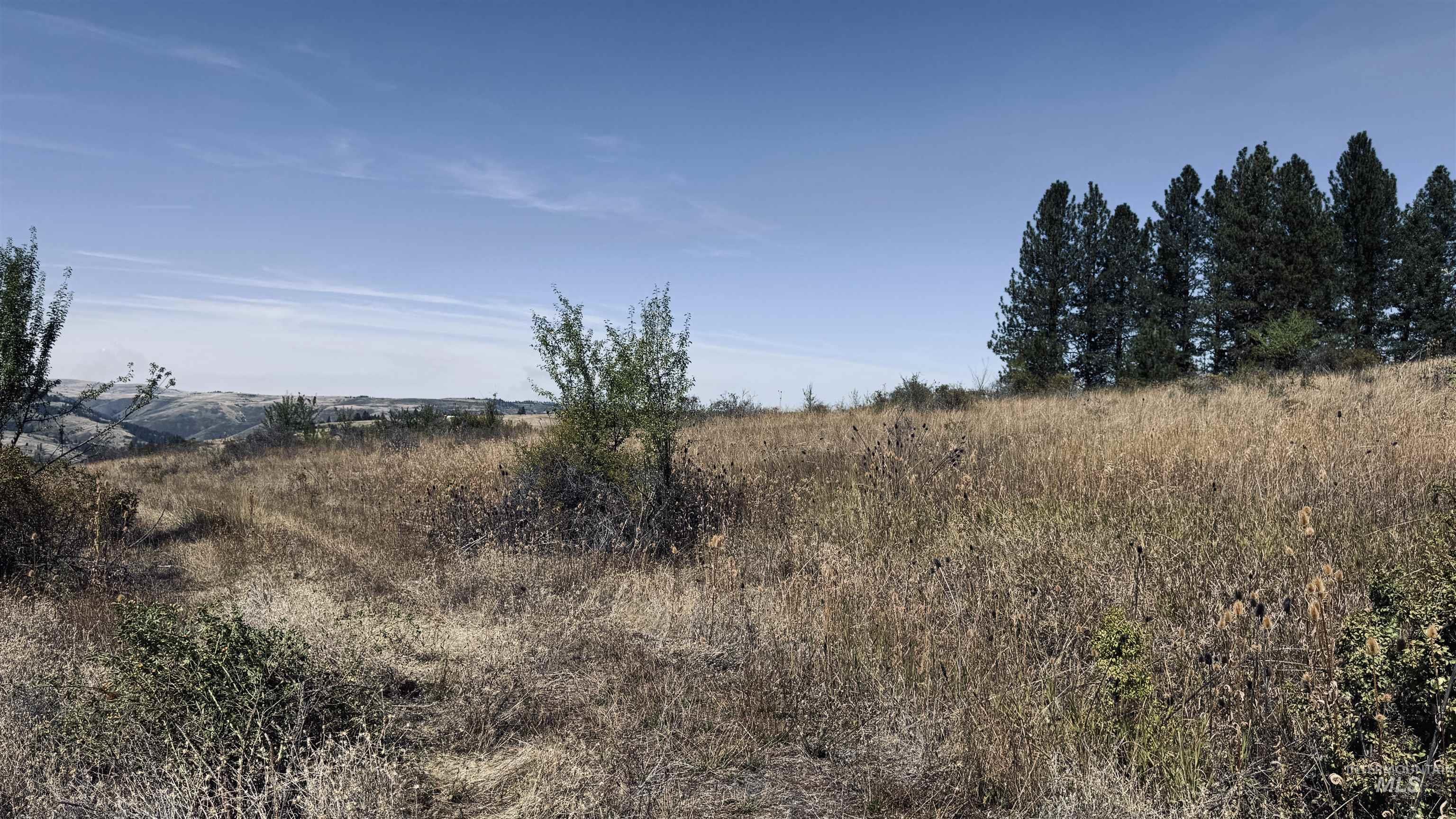 Tbd Dalton Acres Rd Property Photo 23