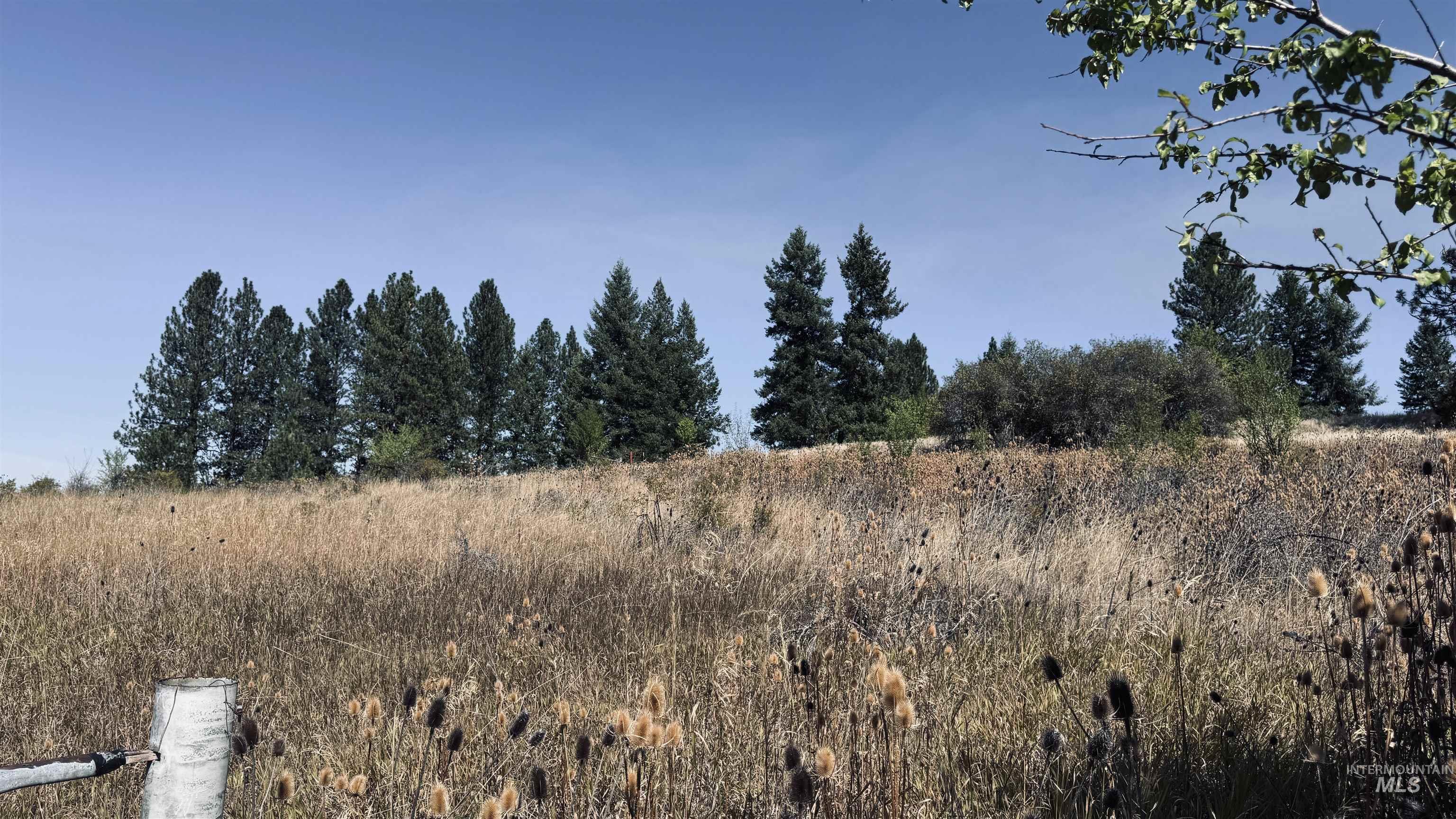 Tbd Dalton Acres Rd Property Photo 24