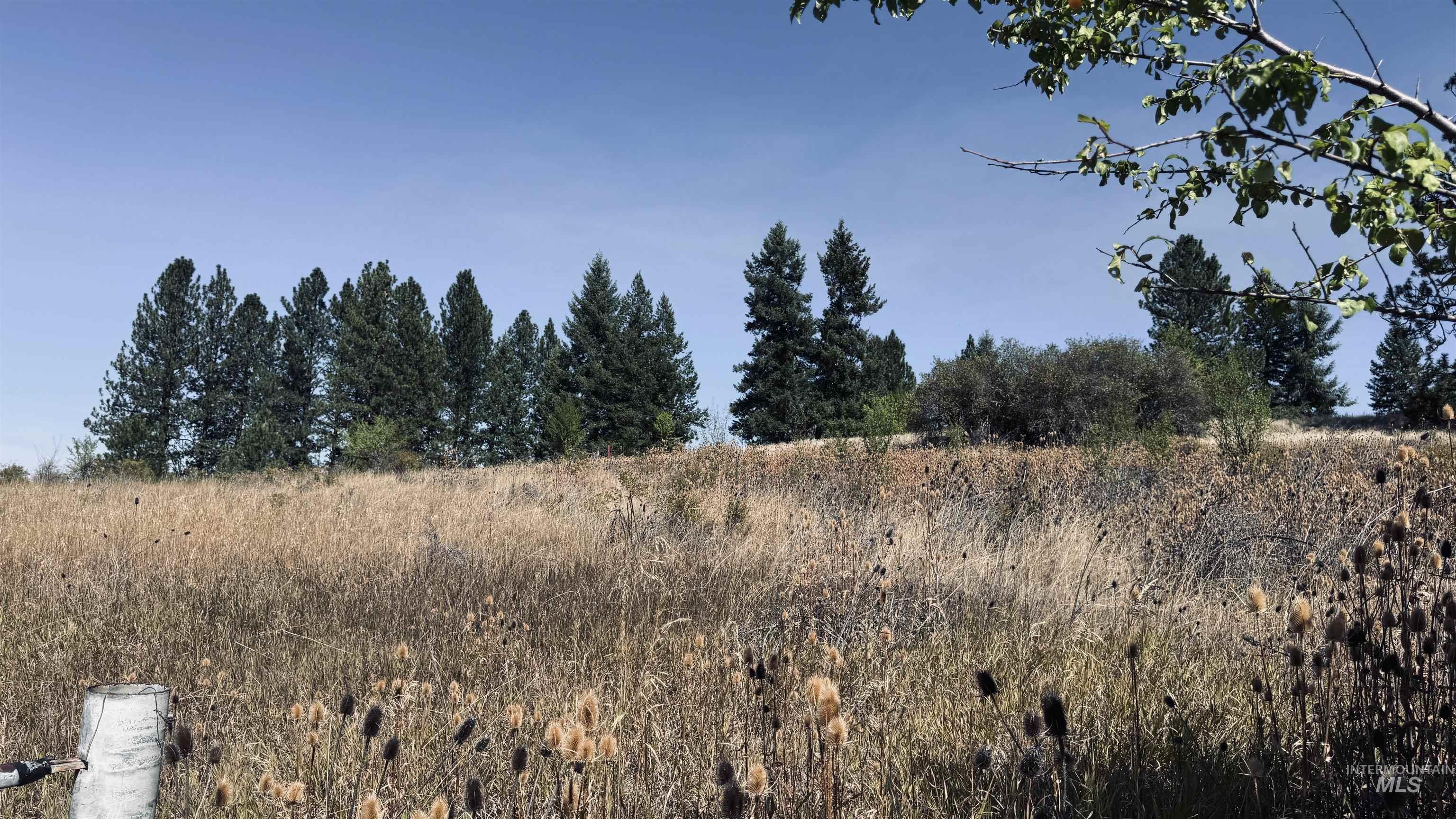 Tbd Dalton Acres Rd Property Photo 25