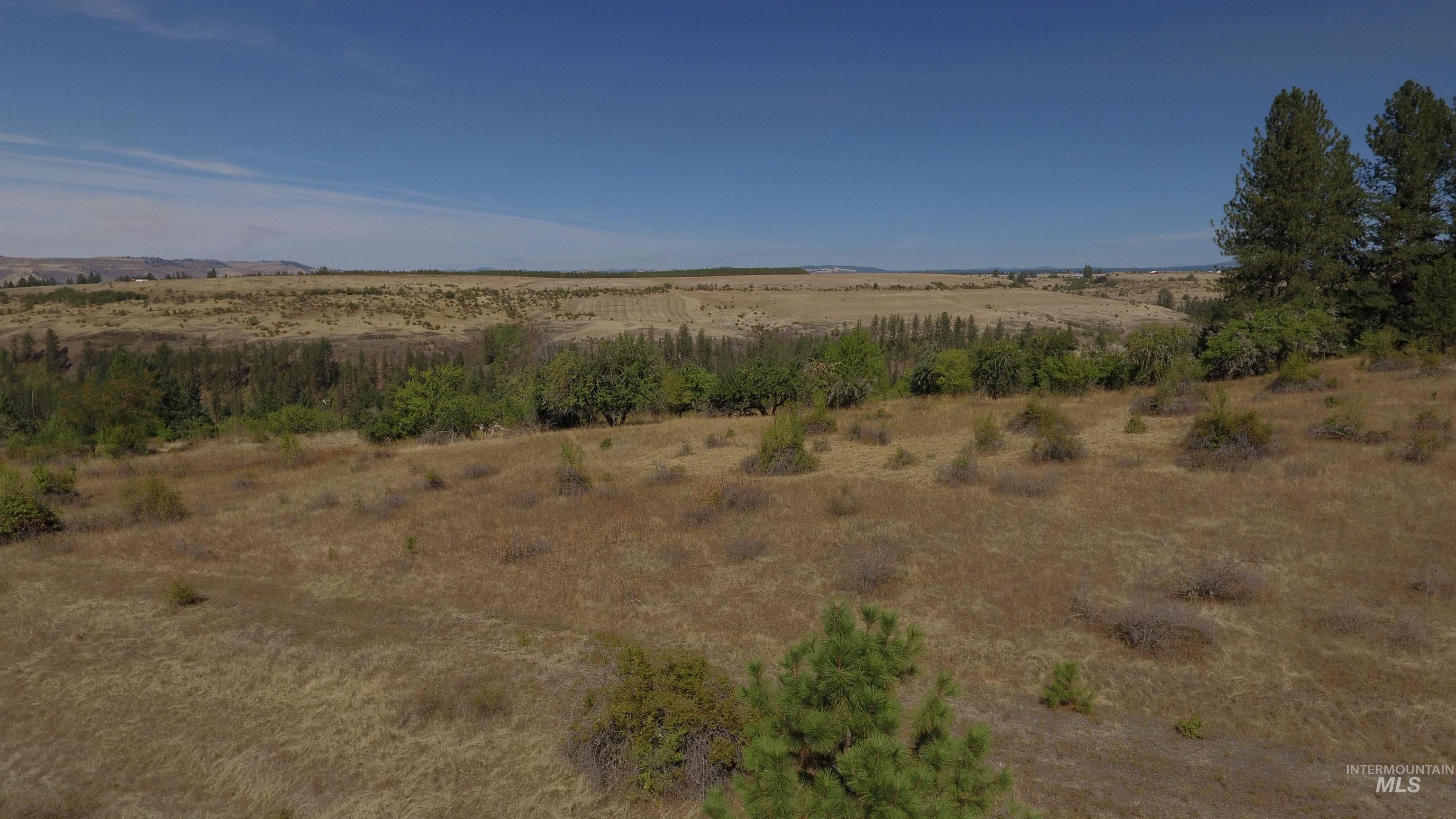 Tbd Dalton Acres Rd Property Photo 30